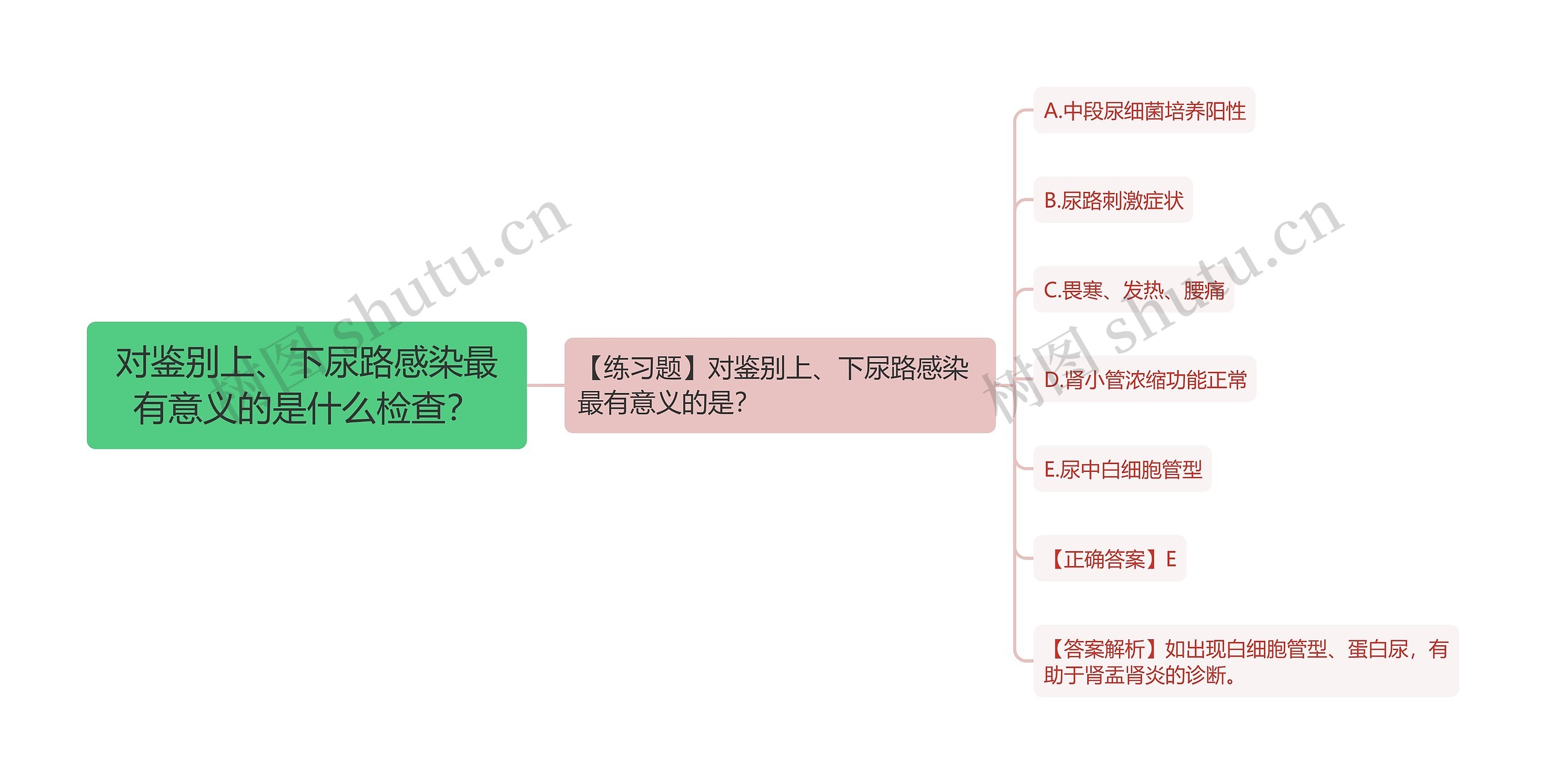 对鉴别上、下尿路感染最有意义的是什么检查？