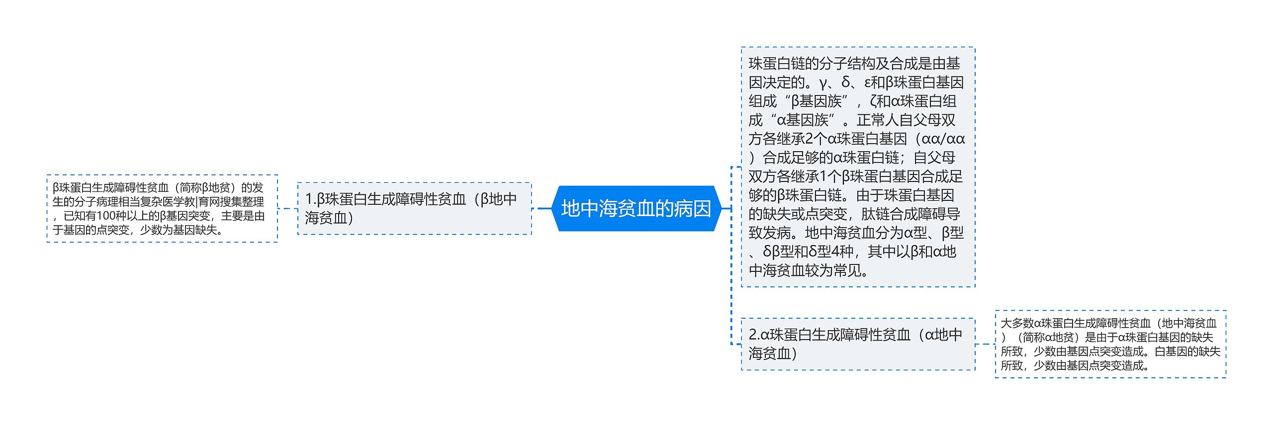 地中海贫血的病因