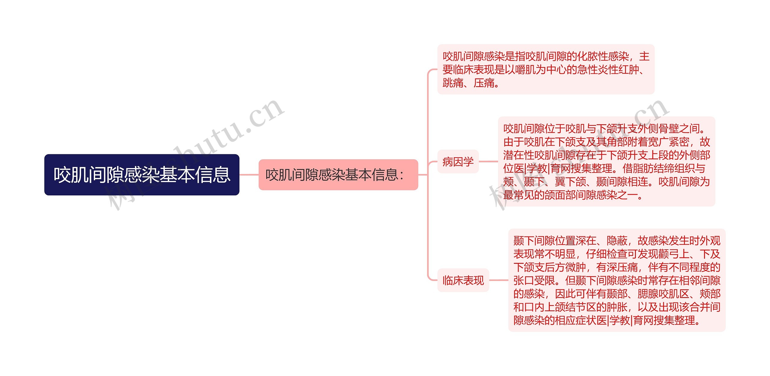 咬肌间隙感染基本信息思维导图