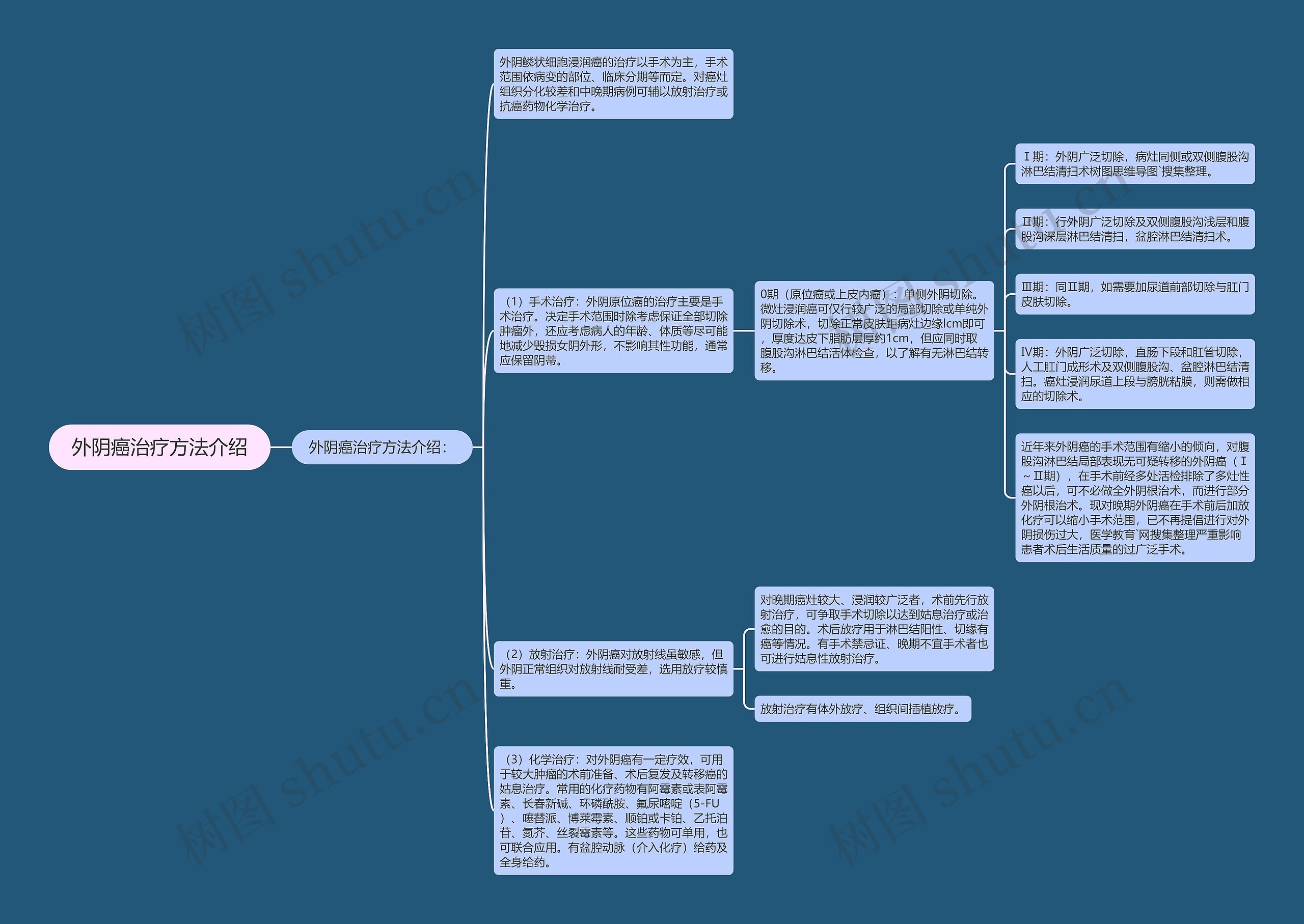 外阴癌治疗方法介绍思维导图