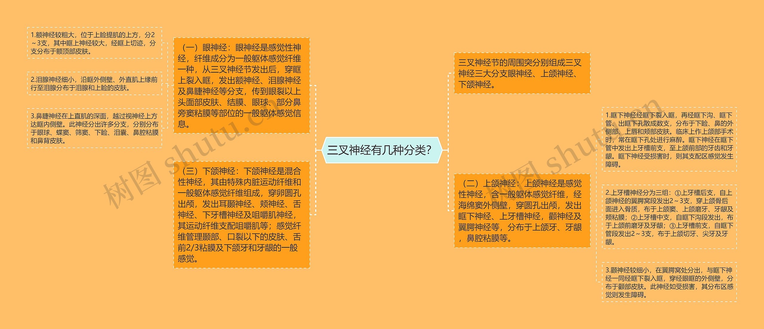 三叉神经有几种分类？思维导图