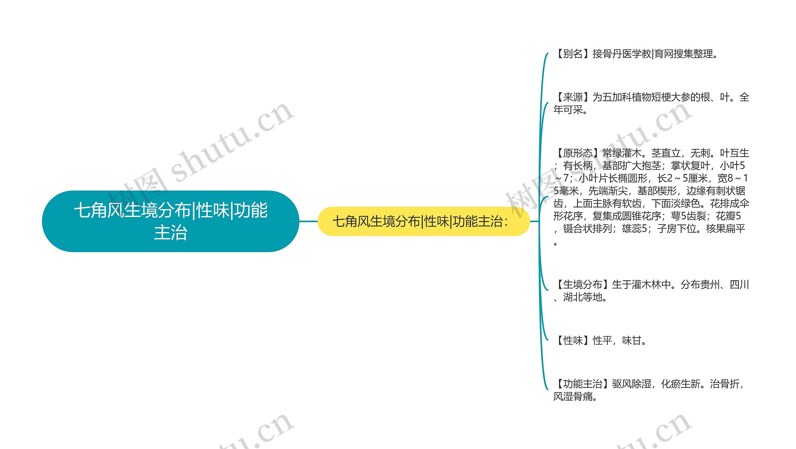 七角风生境分布|性味|功能主治思维导图