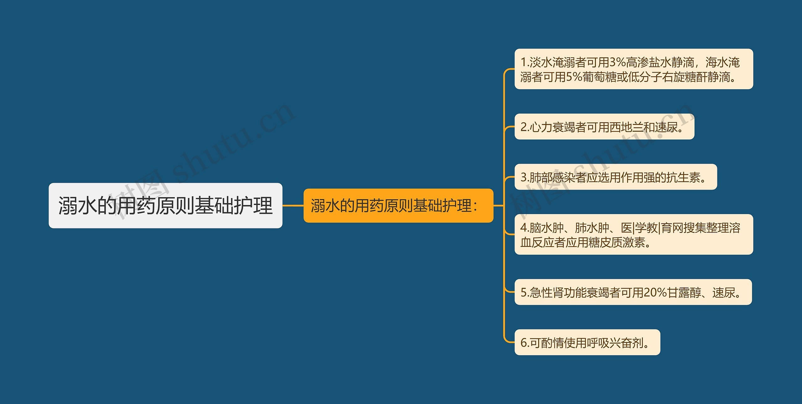 溺水的用药原则基础护理思维导图