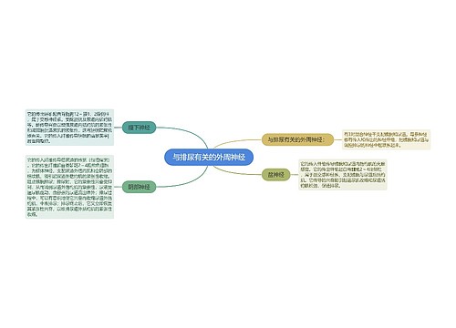 与排尿有关的外周神经