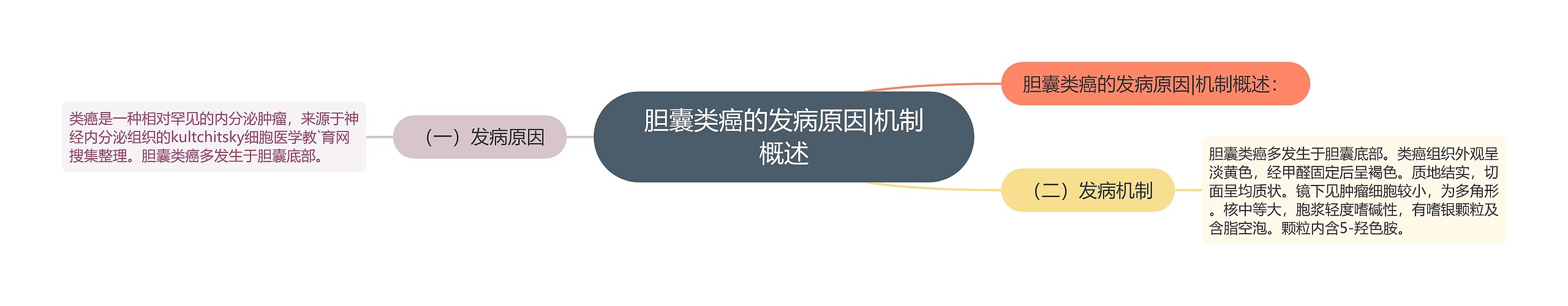 胆囊类癌的发病原因|机制概述 胆囊类癌的发病原因|机制概述