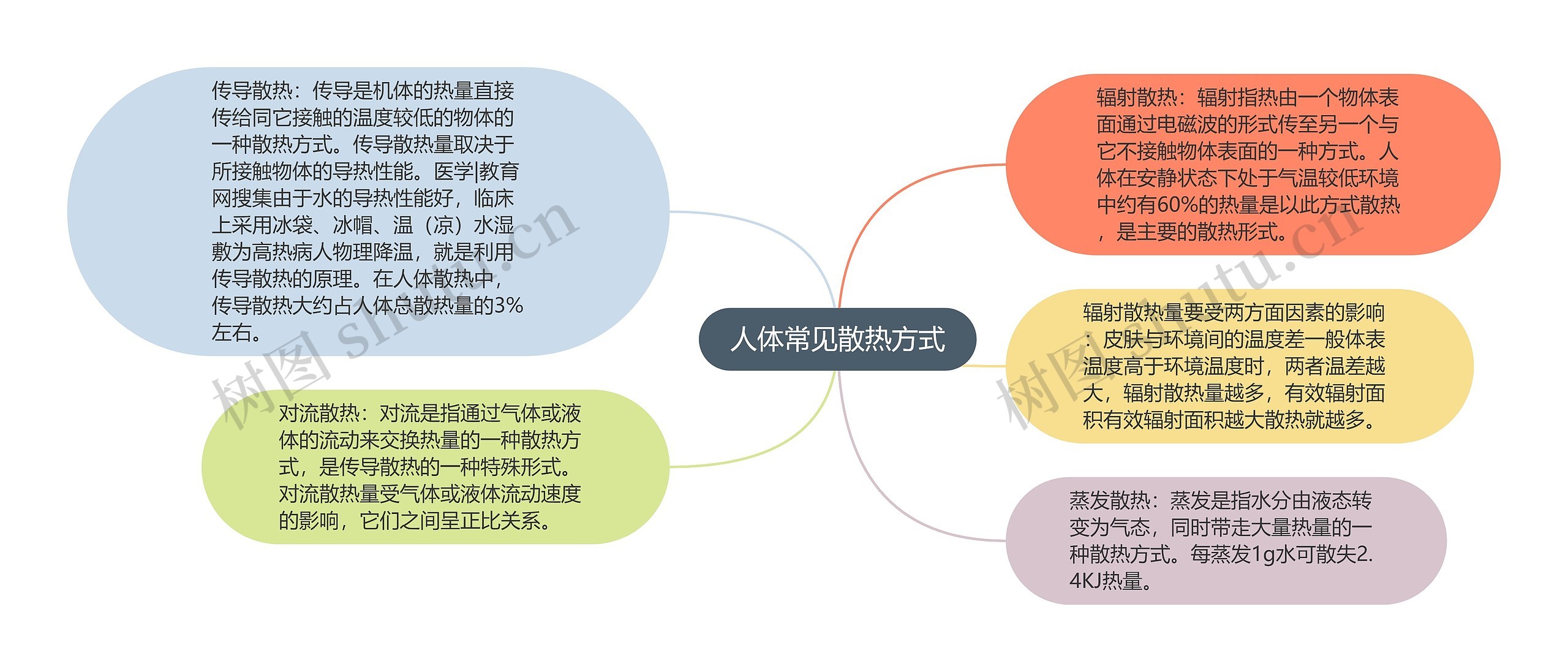 人体常见散热方式思维导图