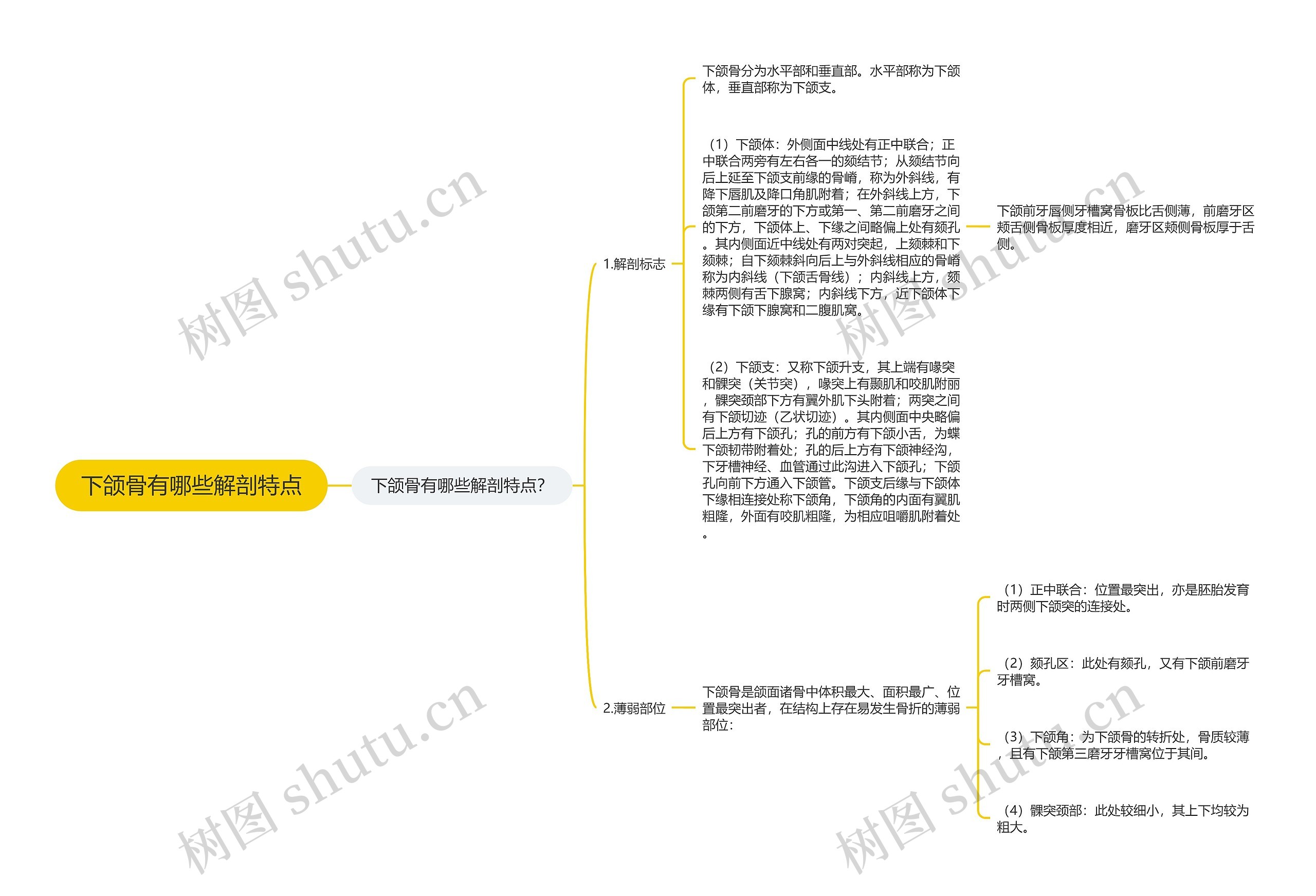 下颌骨有哪些解剖特点