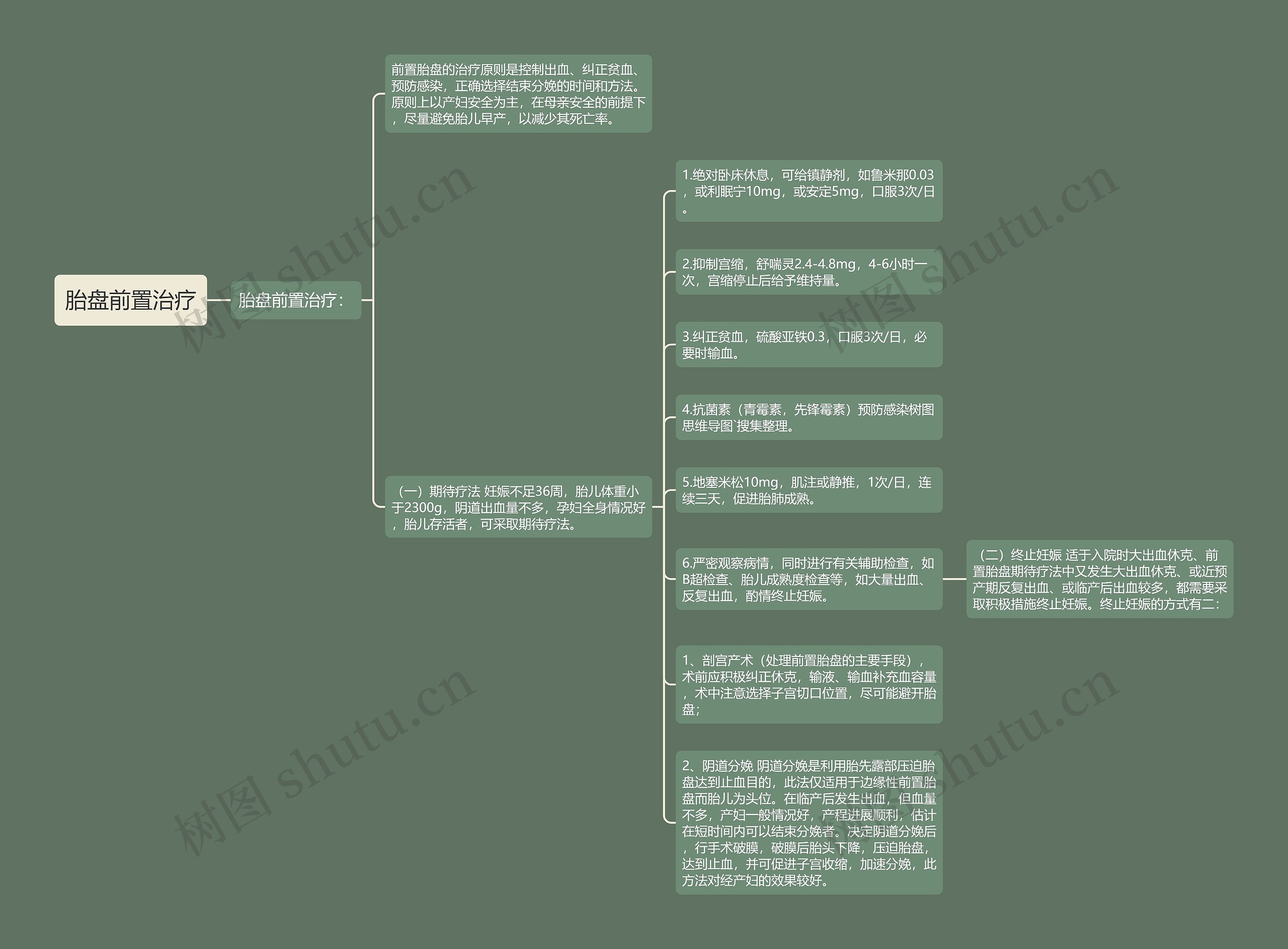 胎盘前置治疗思维导图