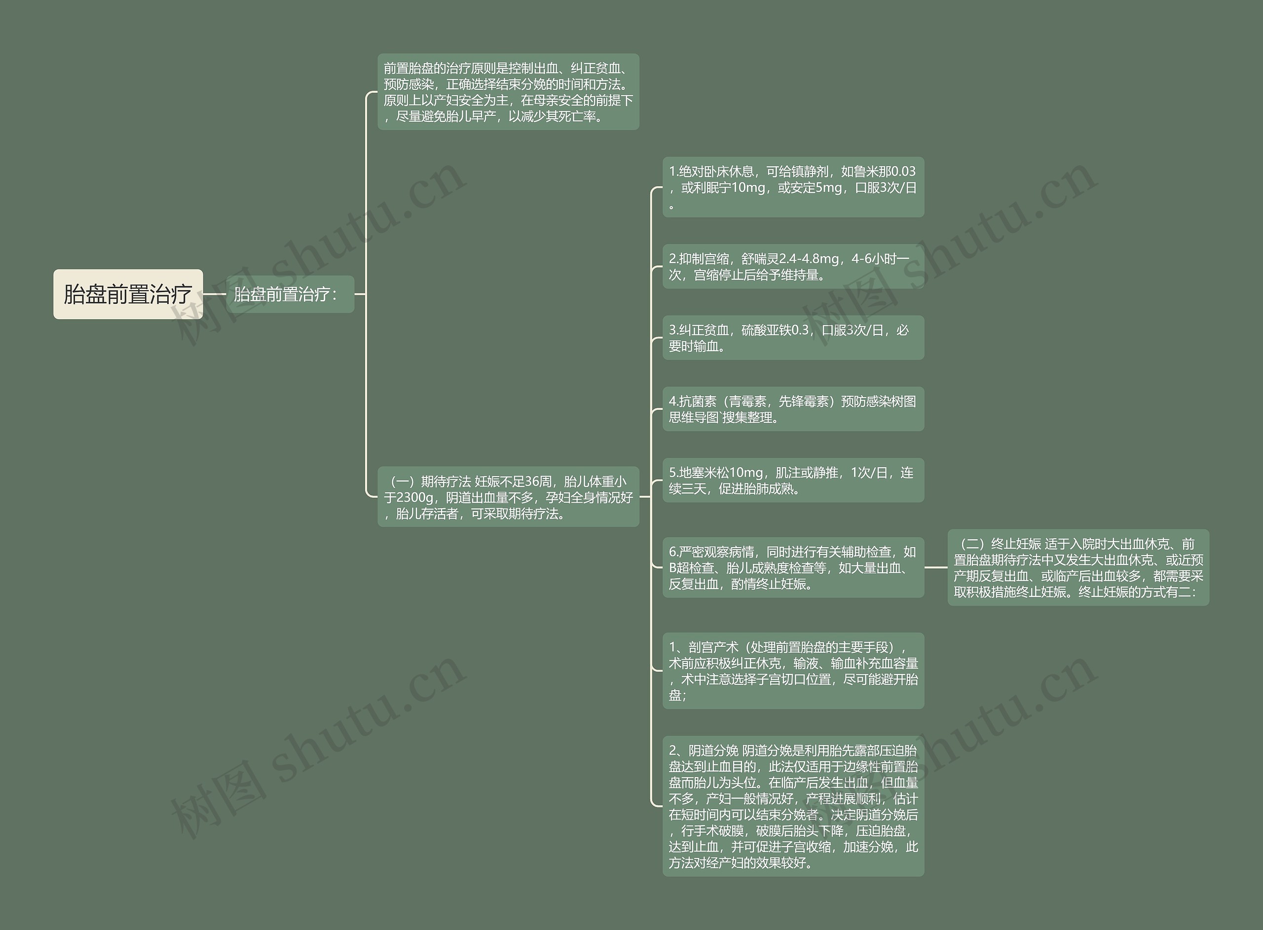 胎盘前置治疗 胎盘前置治疗