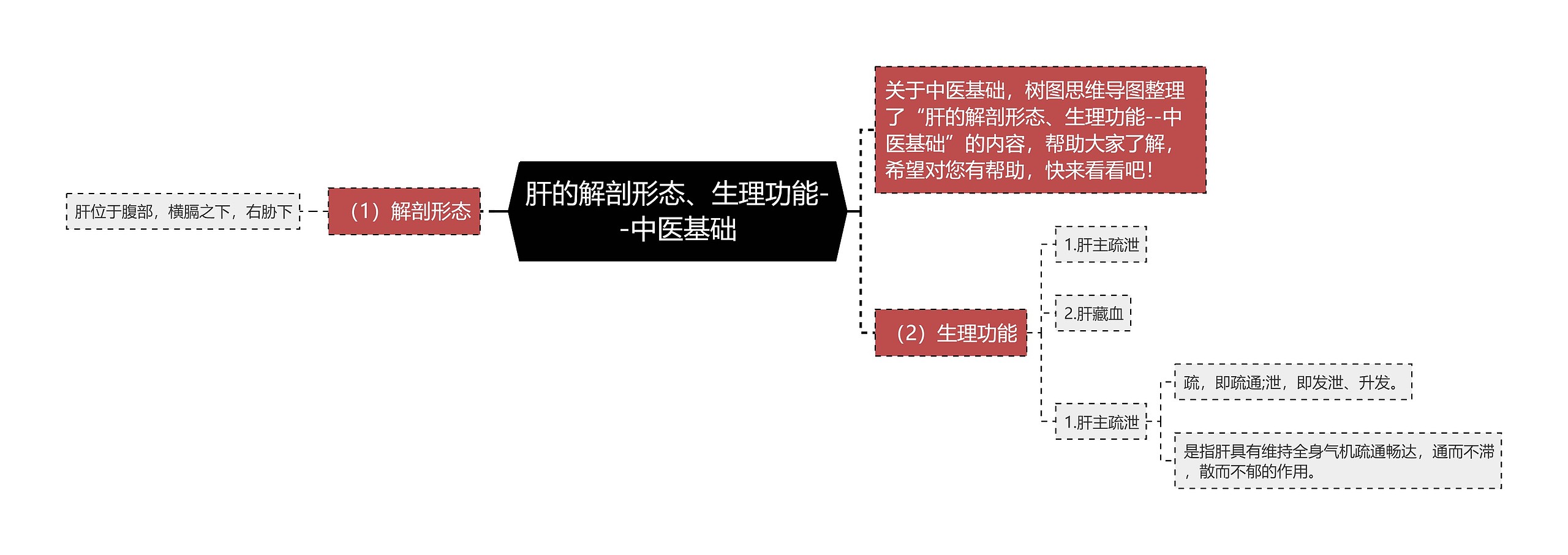 肝的解剖形态、生理功能--中医基础