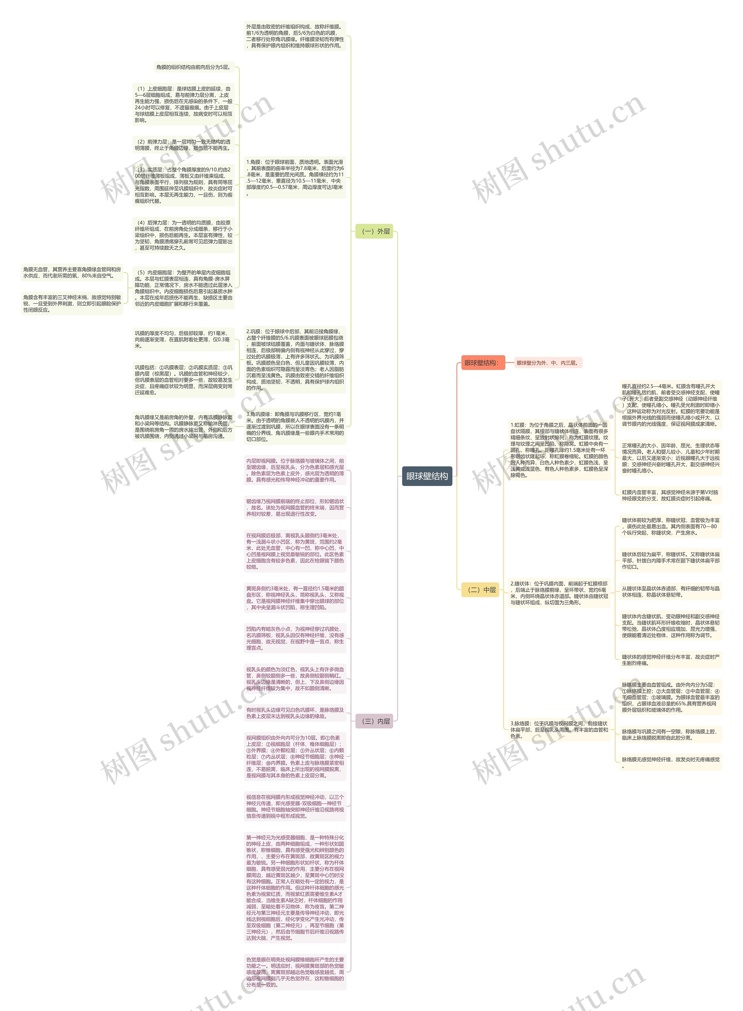 眼球壁结构思维导图