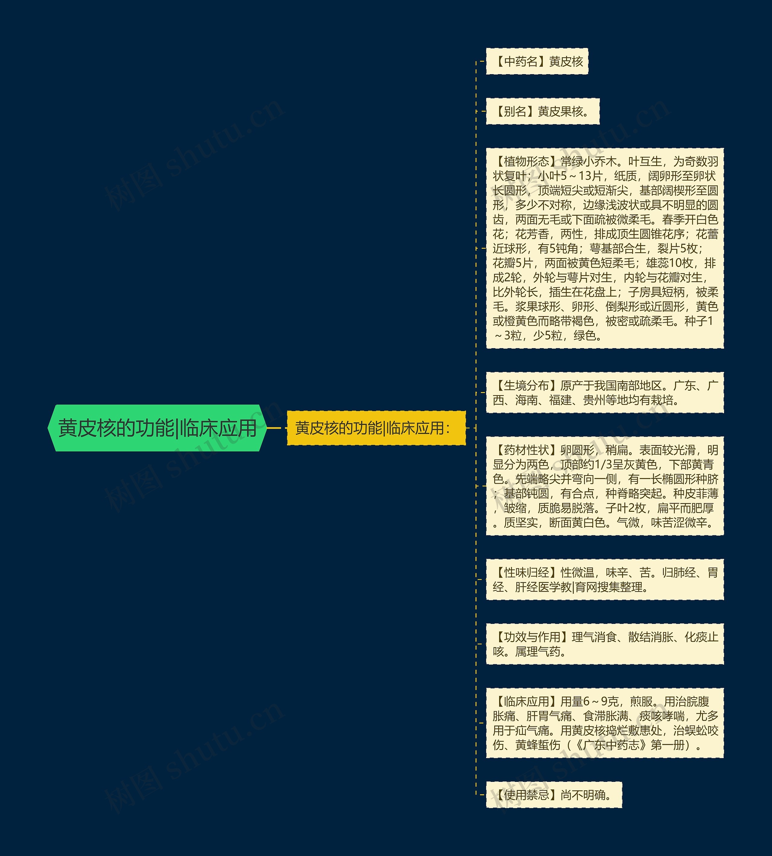 黄皮核的功能|临床应用思维导图