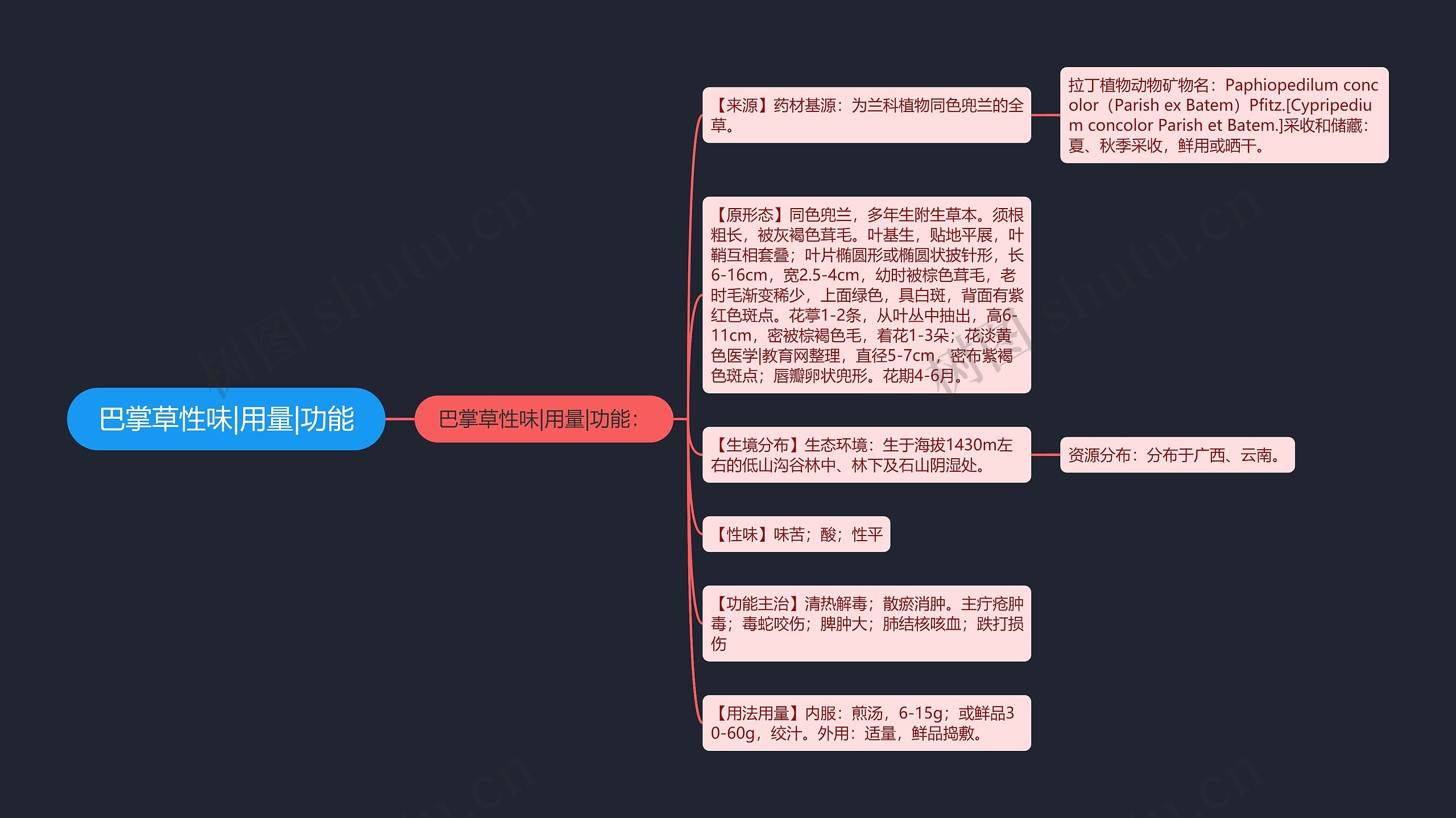 巴掌草性味|用量|功能 巴掌草性味|用量|功能
