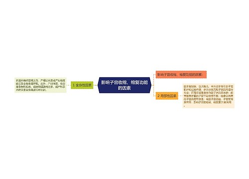 影响子宫收缩、缩复功能的因素