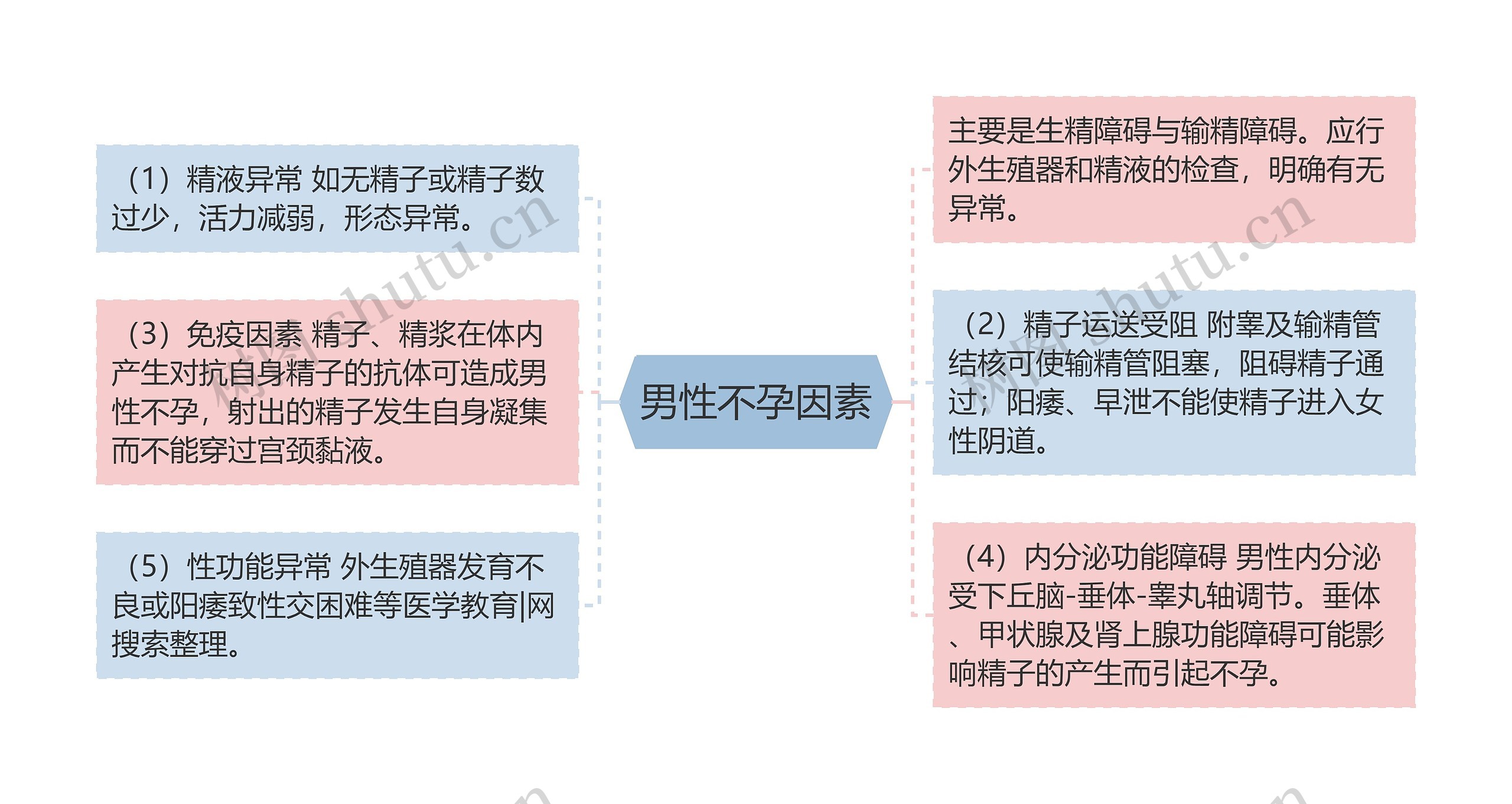 男性不孕因素