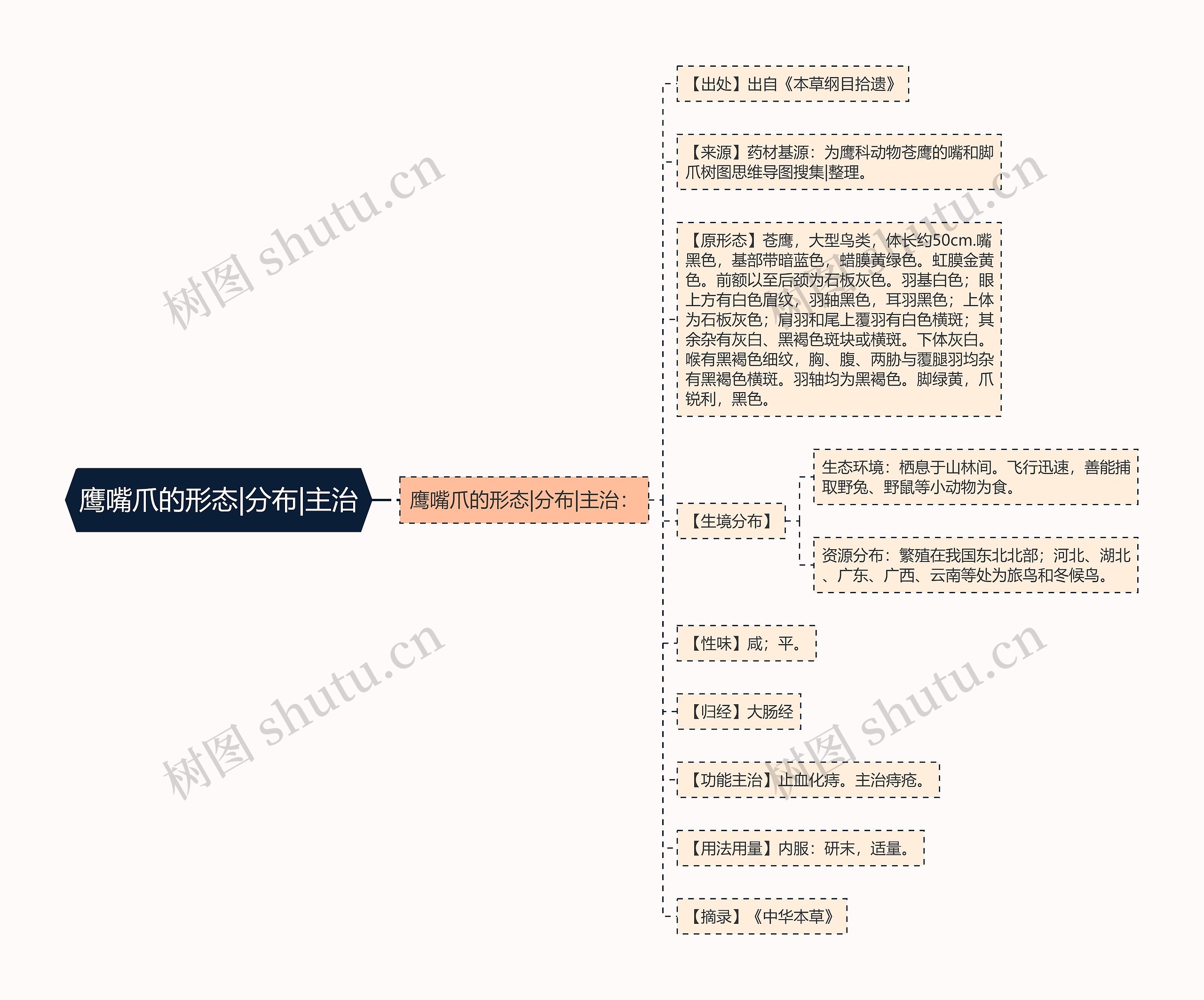 鹰嘴爪的形态|分布|主治