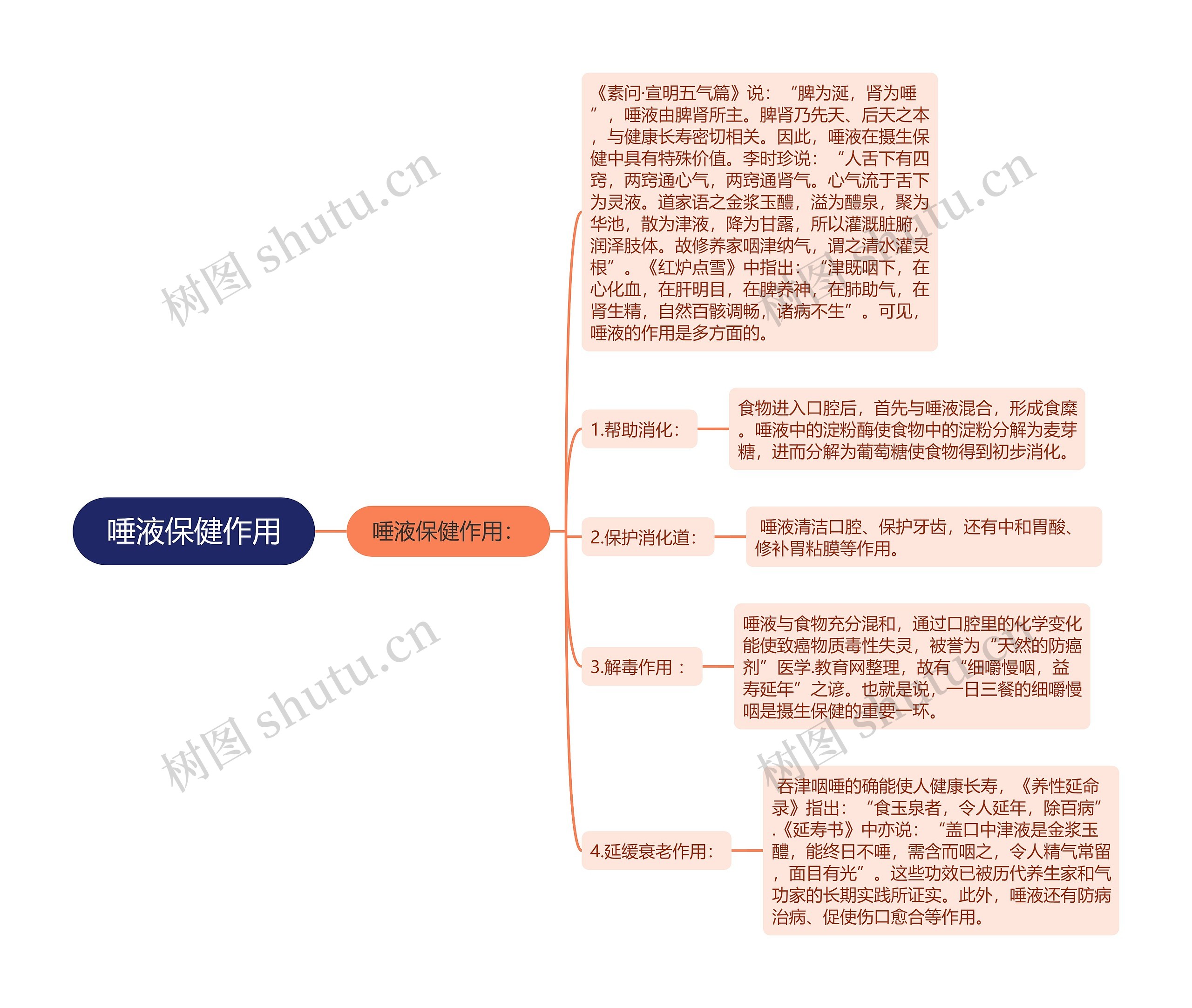 唾液保健作用思维导图