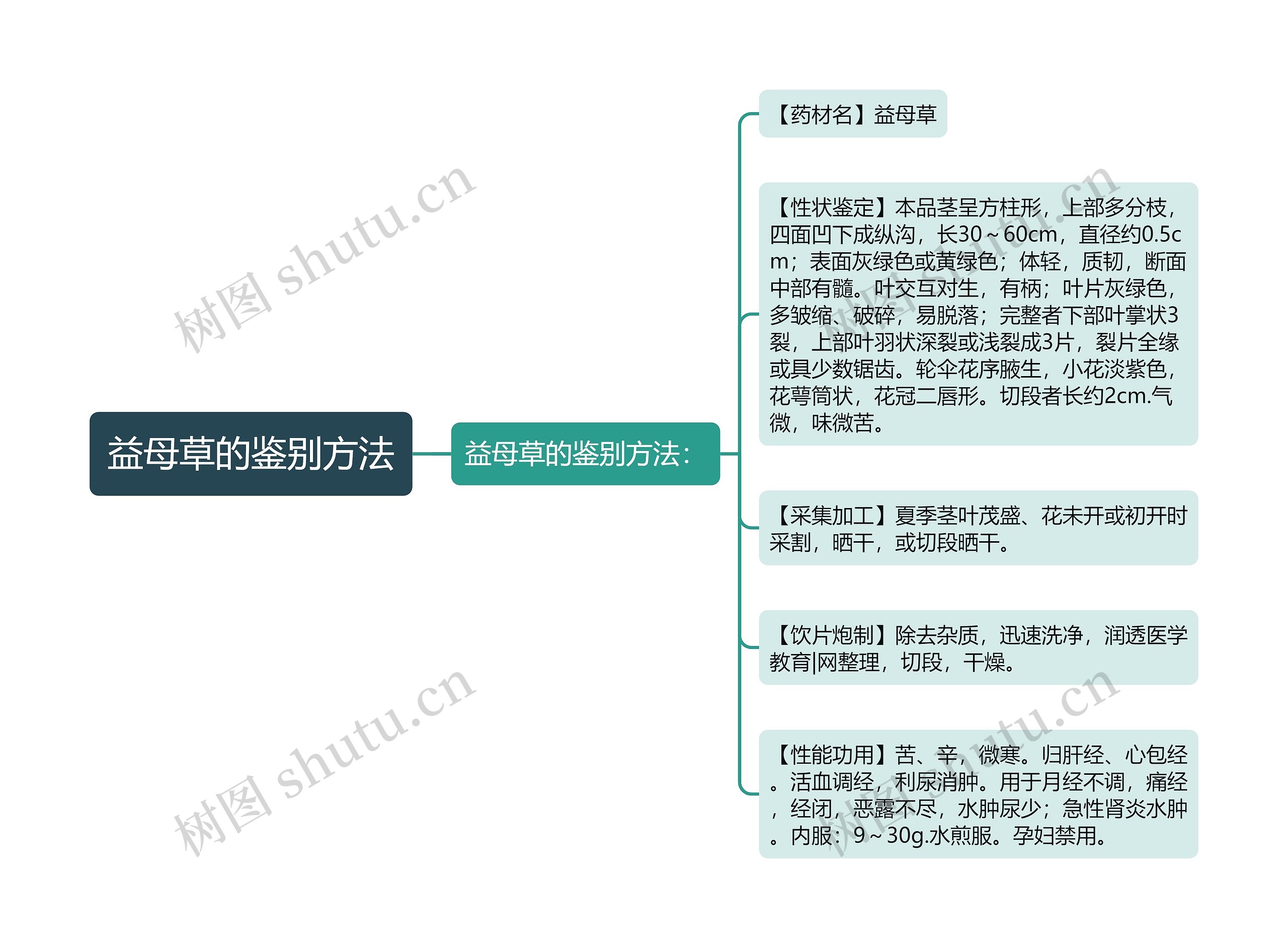 益母草的鉴别方法思维导图