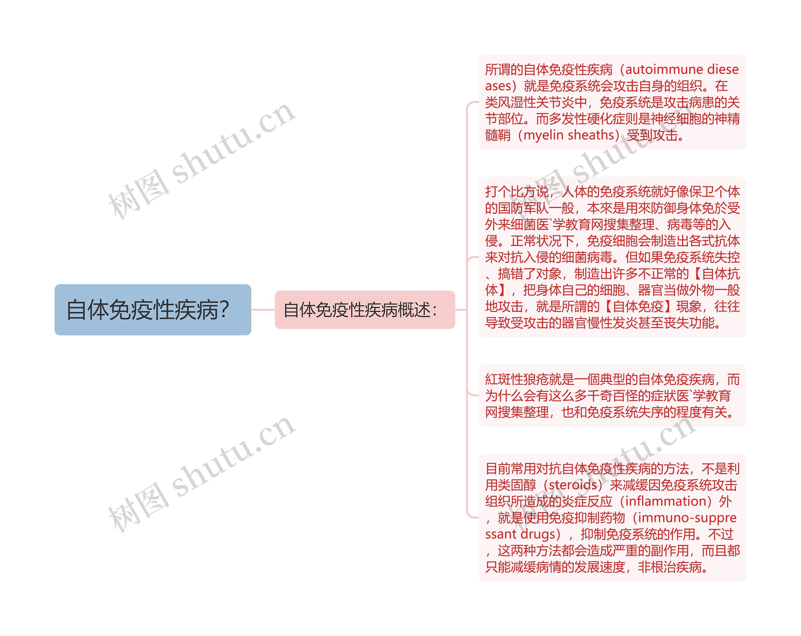 自体免疫性疾病？思维导图