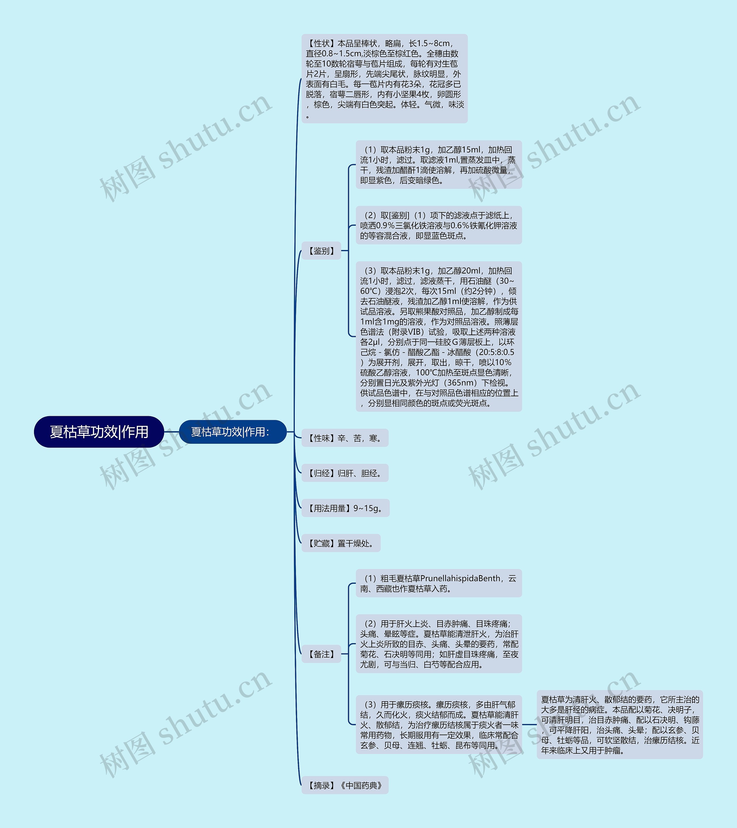 夏枯草功效|作用思维导图