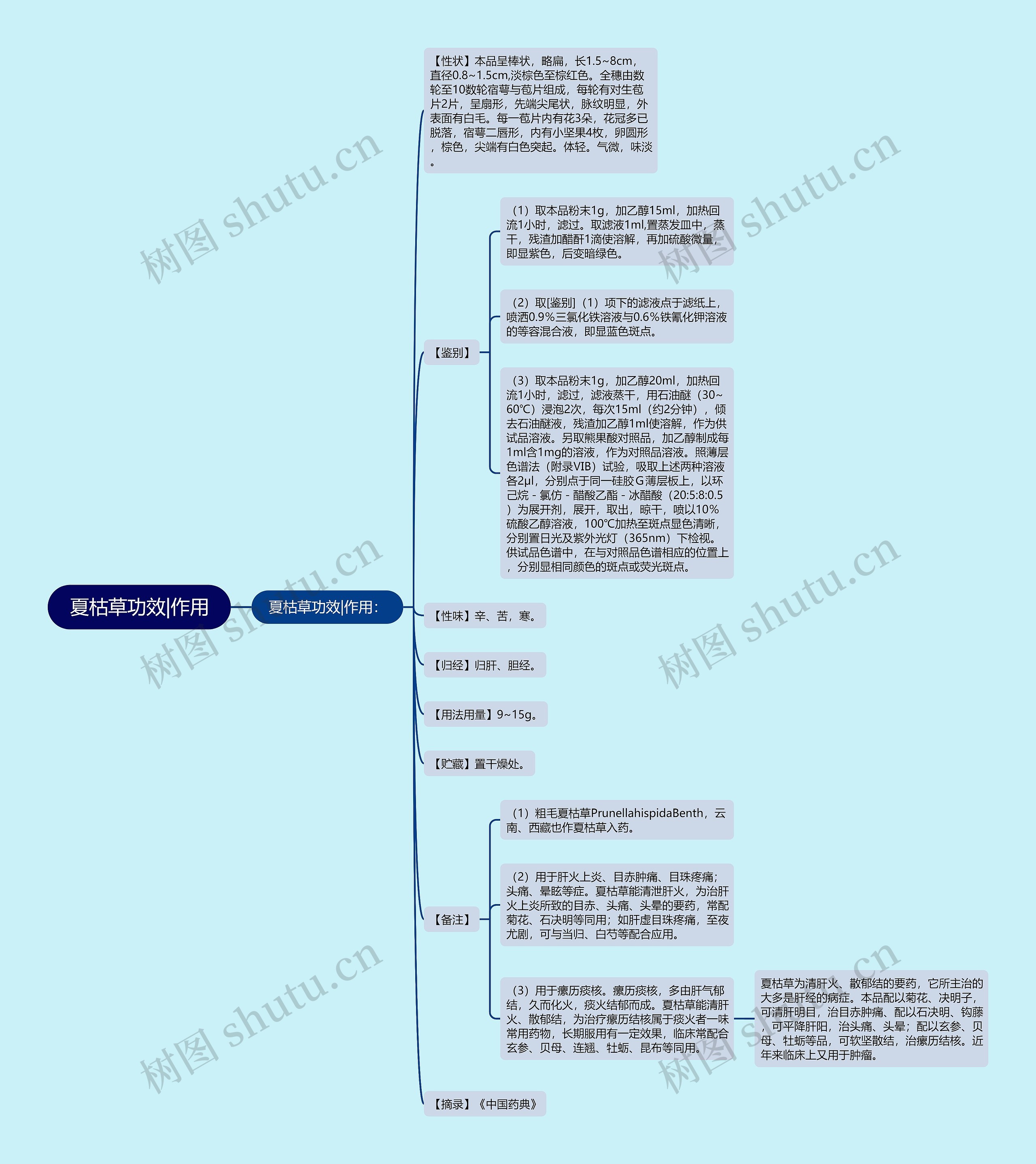 夏枯草功效|作用 夏枯草功效|作用