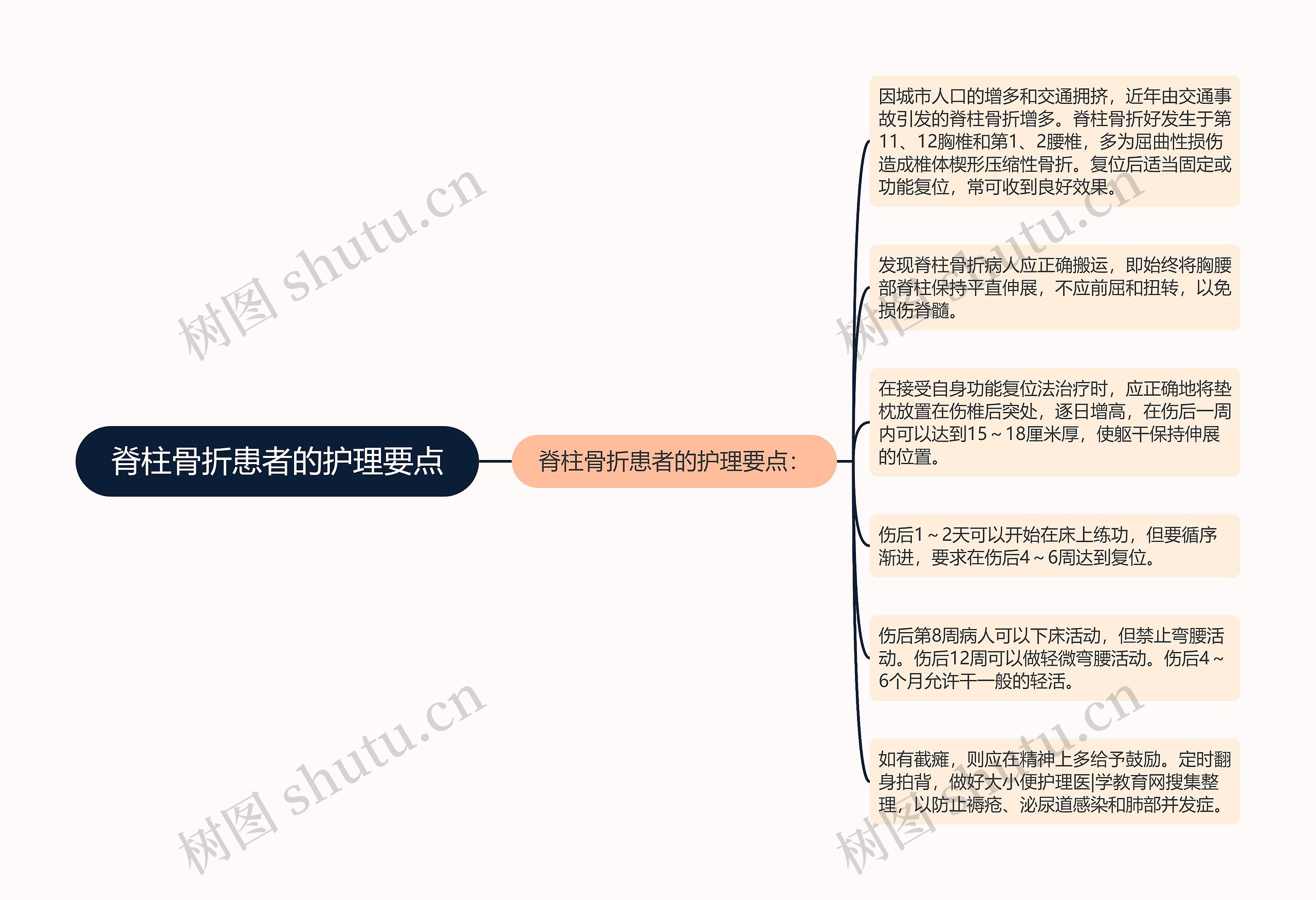 脊柱骨折患者的护理要点