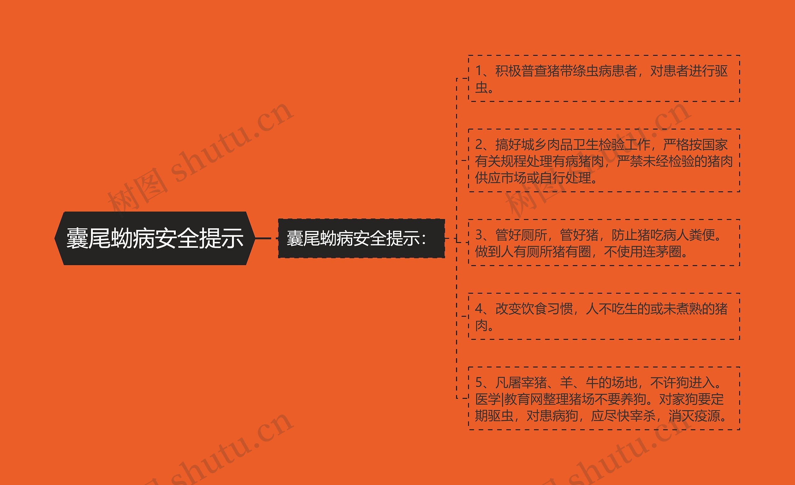 囊尾蚴病安全提示 囊尾蚴病安全提示