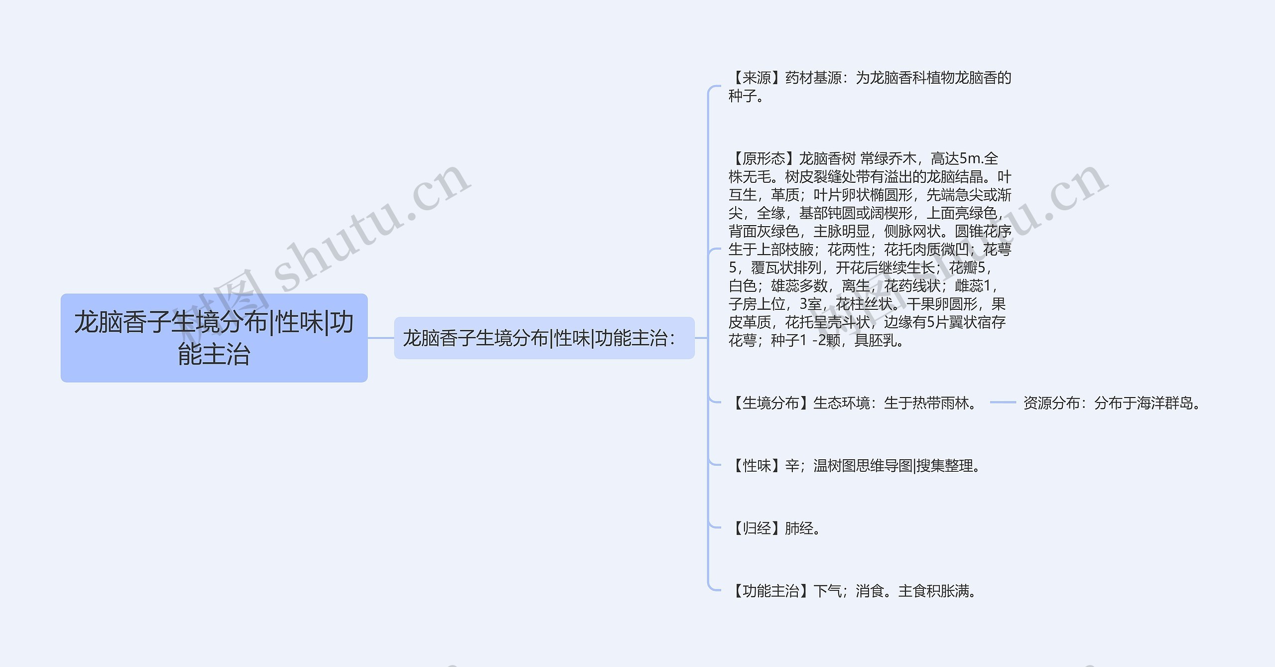 龙脑香子生境分布|性味|功能主治