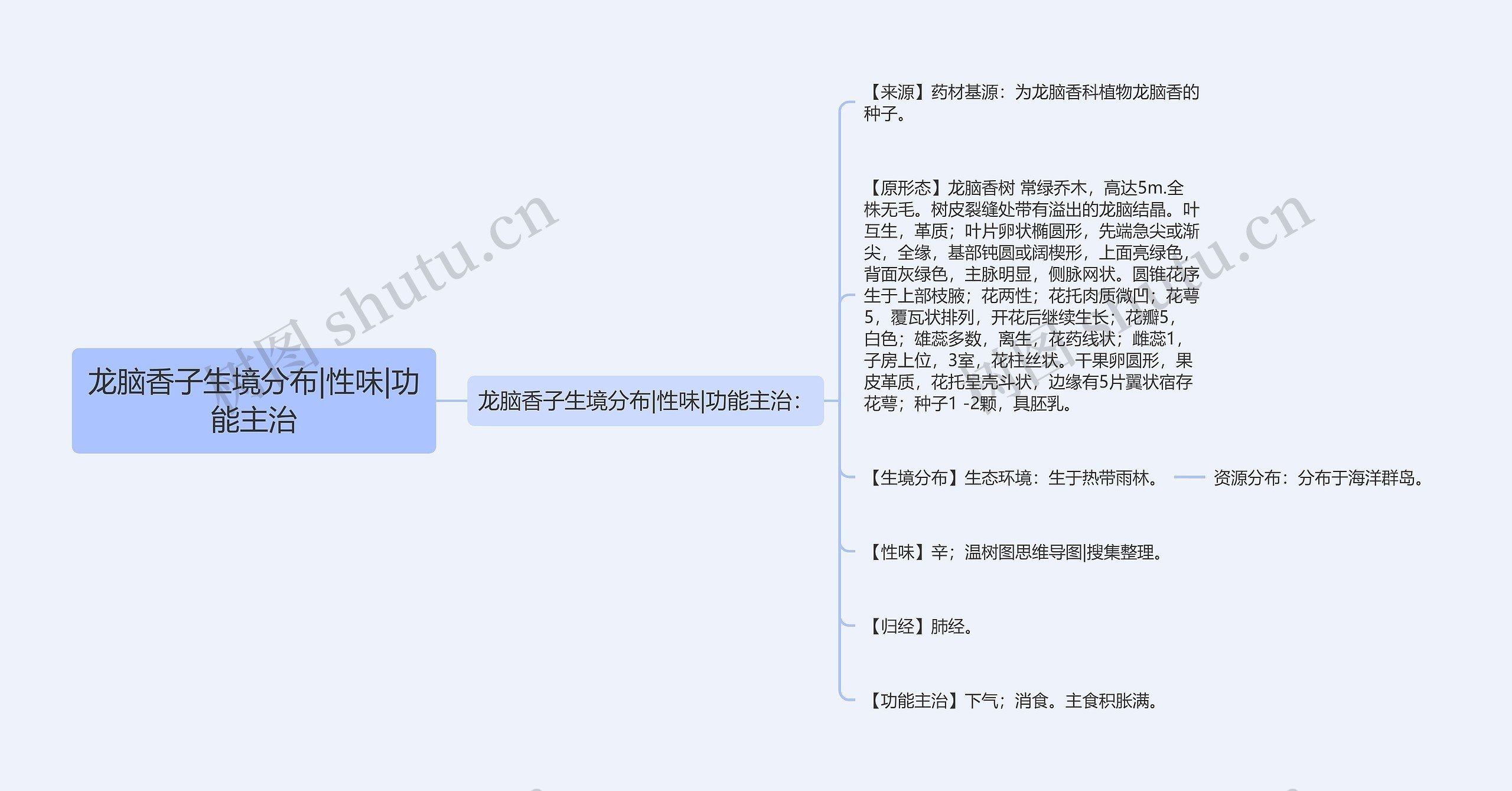 龙脑香子生境分布|性味|功能主治 龙脑香子生境分布|性味|功能主治