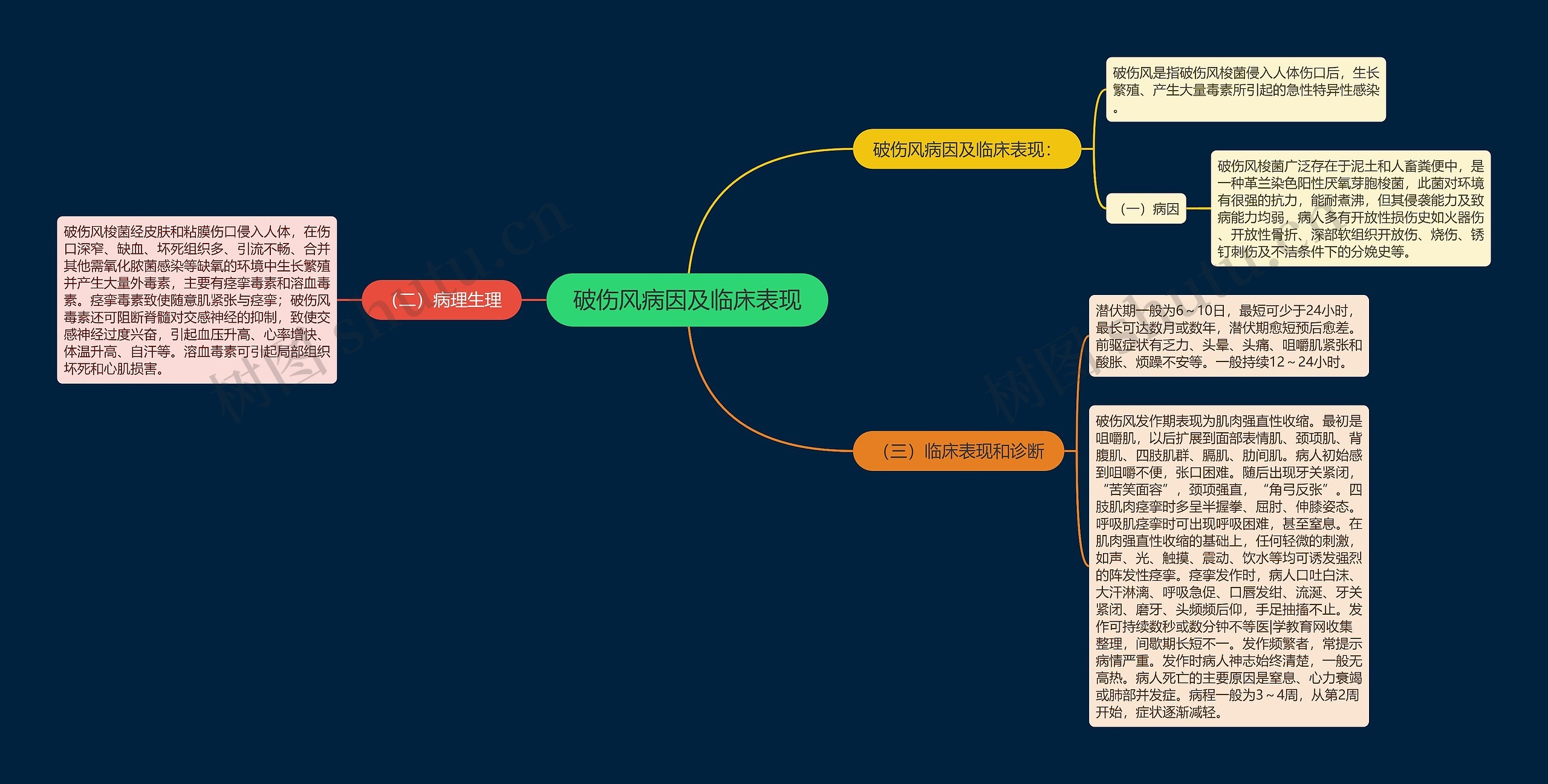 破伤风病因及临床表现思维导图