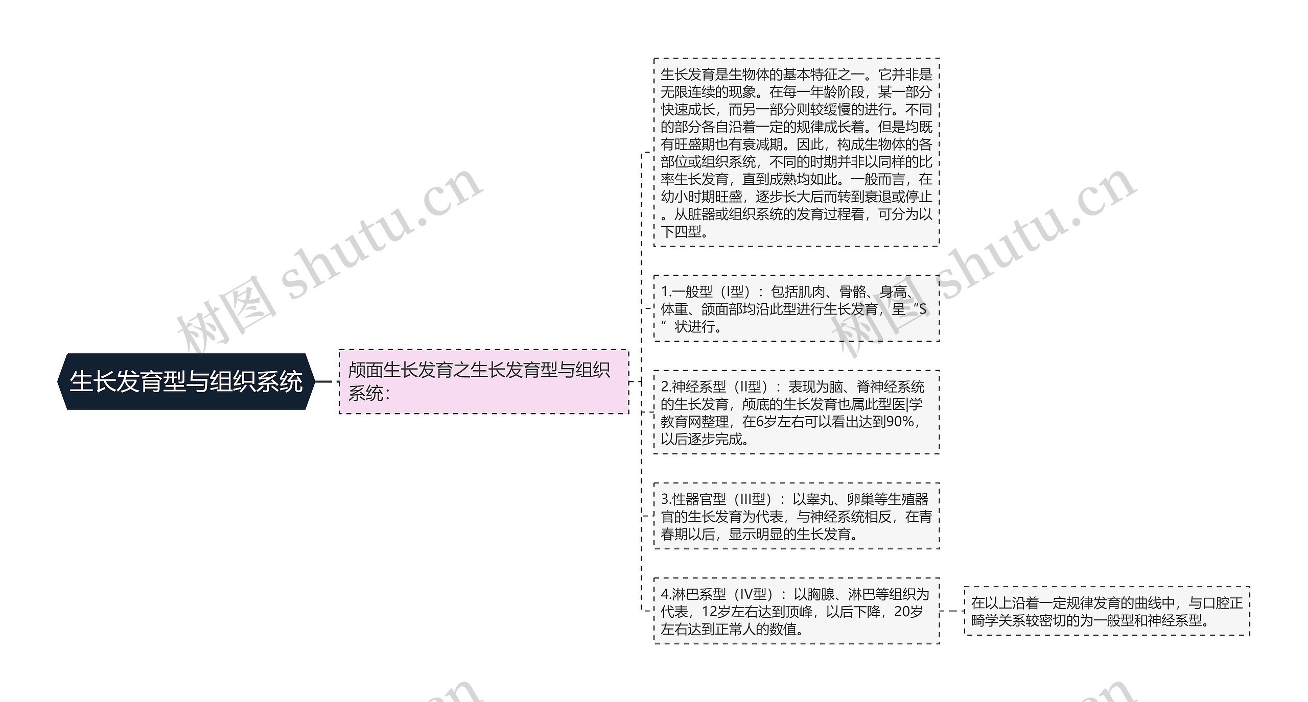 生长发育型与组织系统