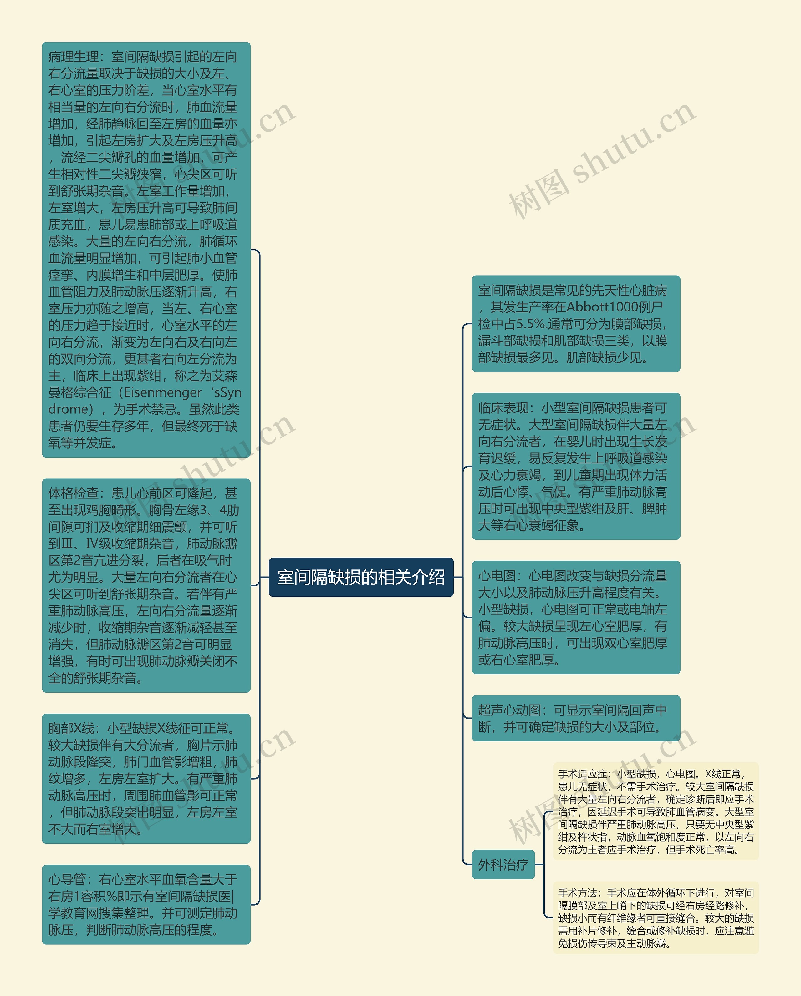 室间隔缺损的相关介绍