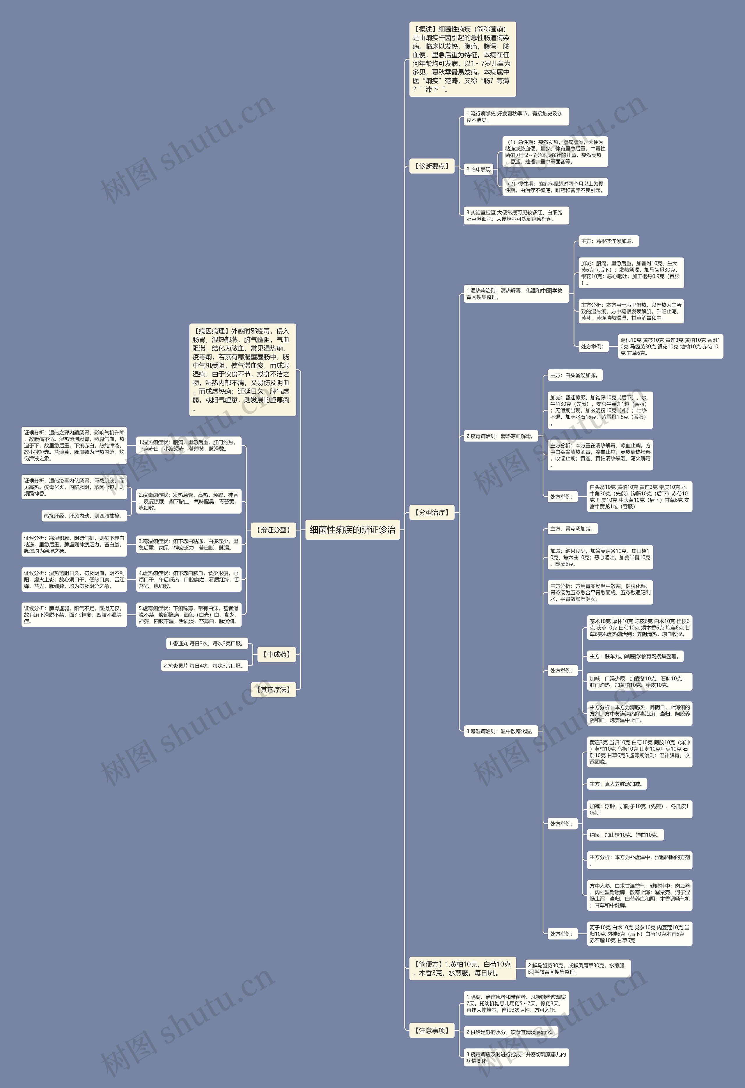 细菌性痢疾的辨证诊治思维导图