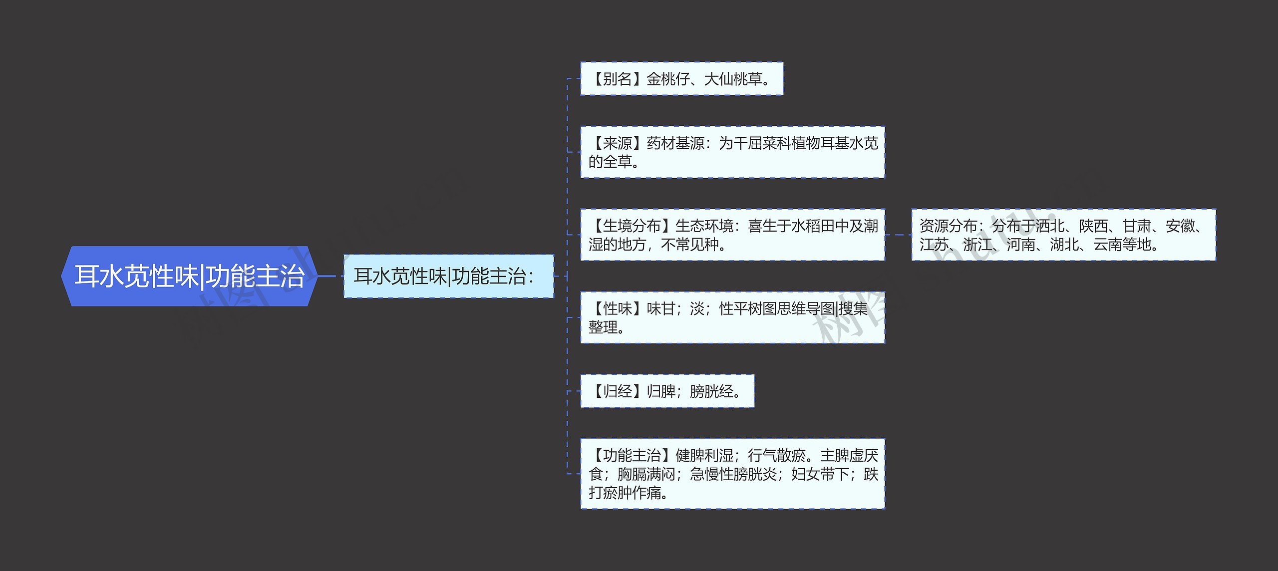 耳水苋性味|功能主治
