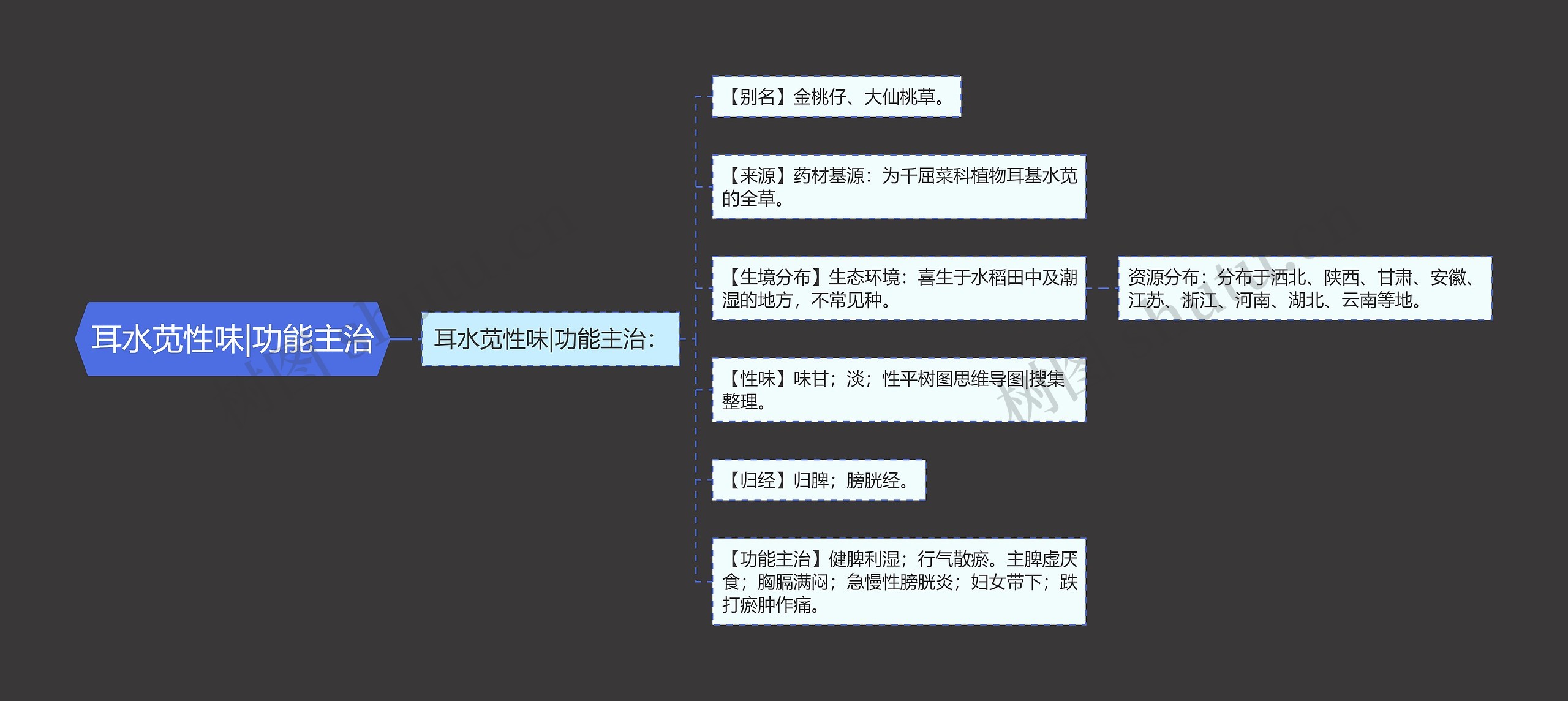 耳水苋性味|功能主治思维导图