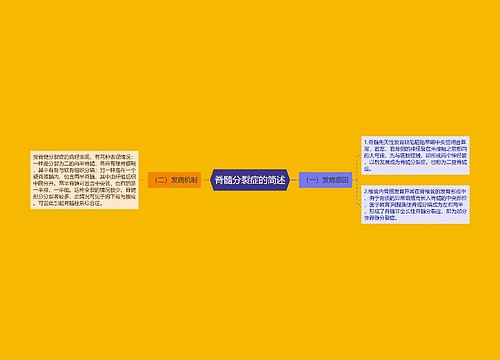 脊髓分裂症的简述