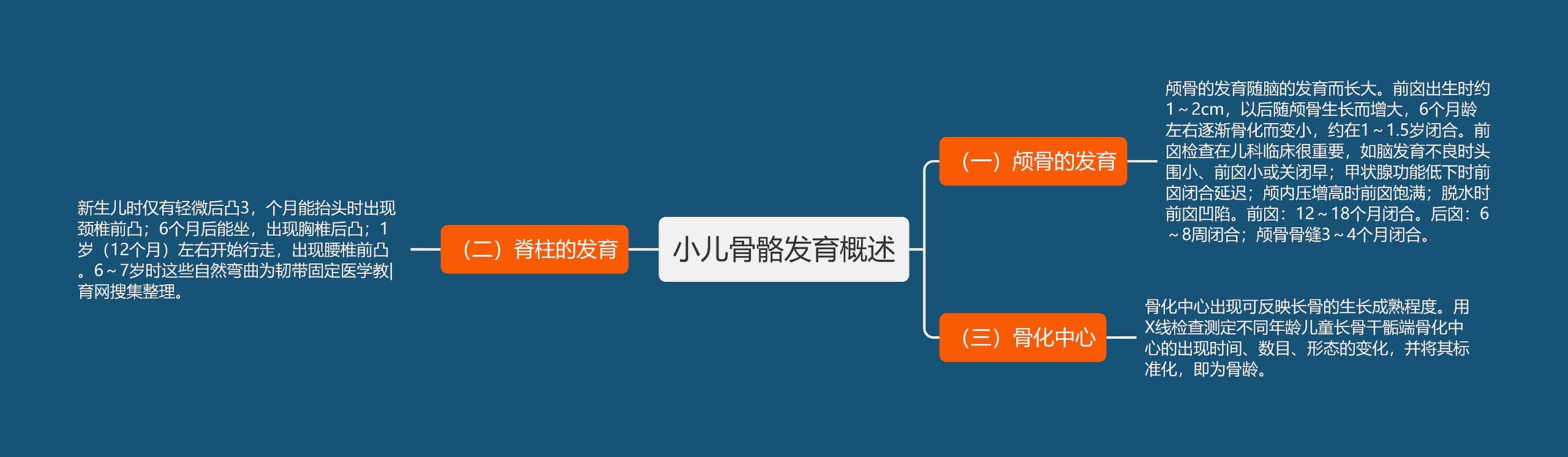 小儿骨骼发育概述 小儿骨骼发育概述
