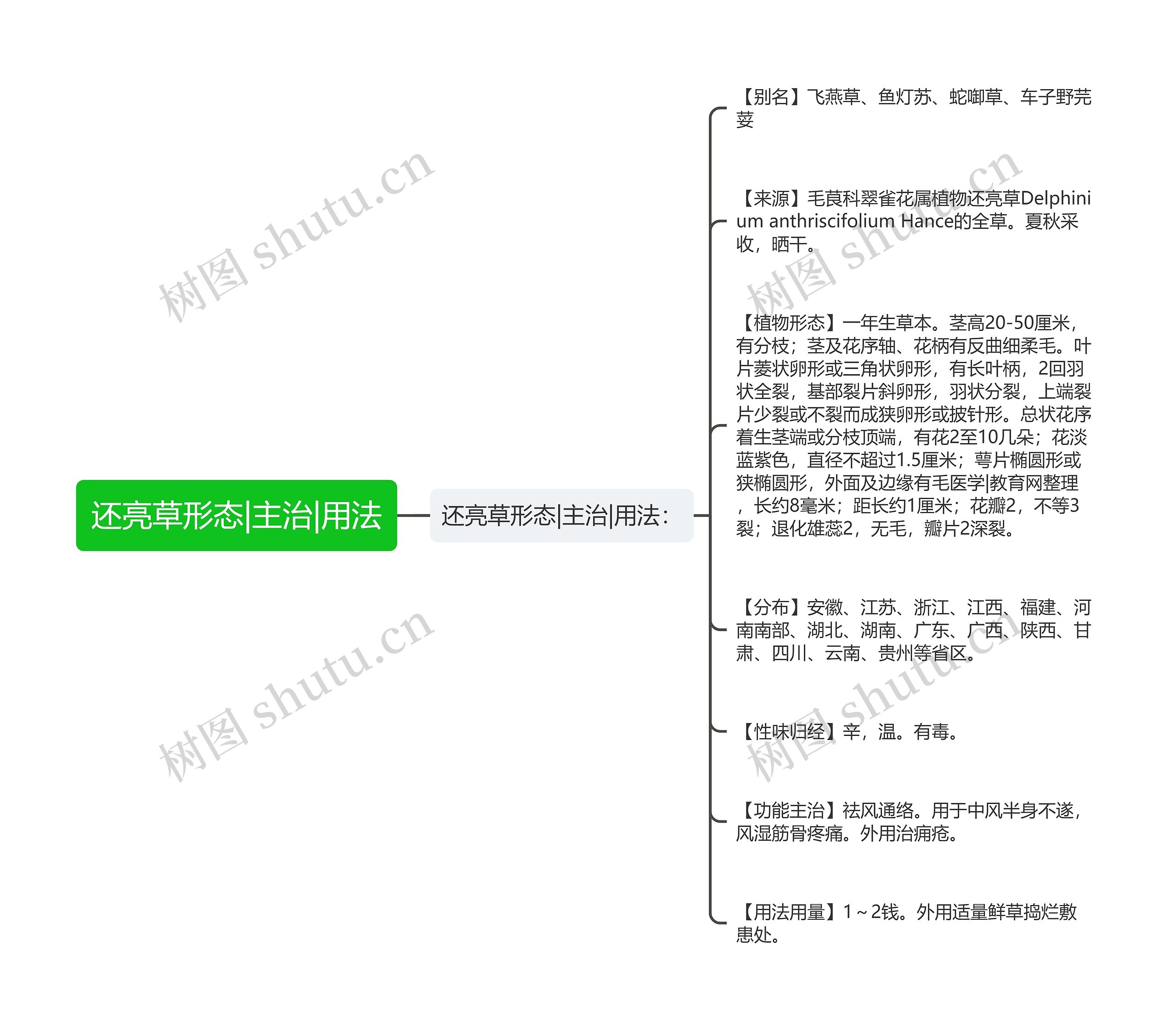 还亮草形态|主治|用法思维导图