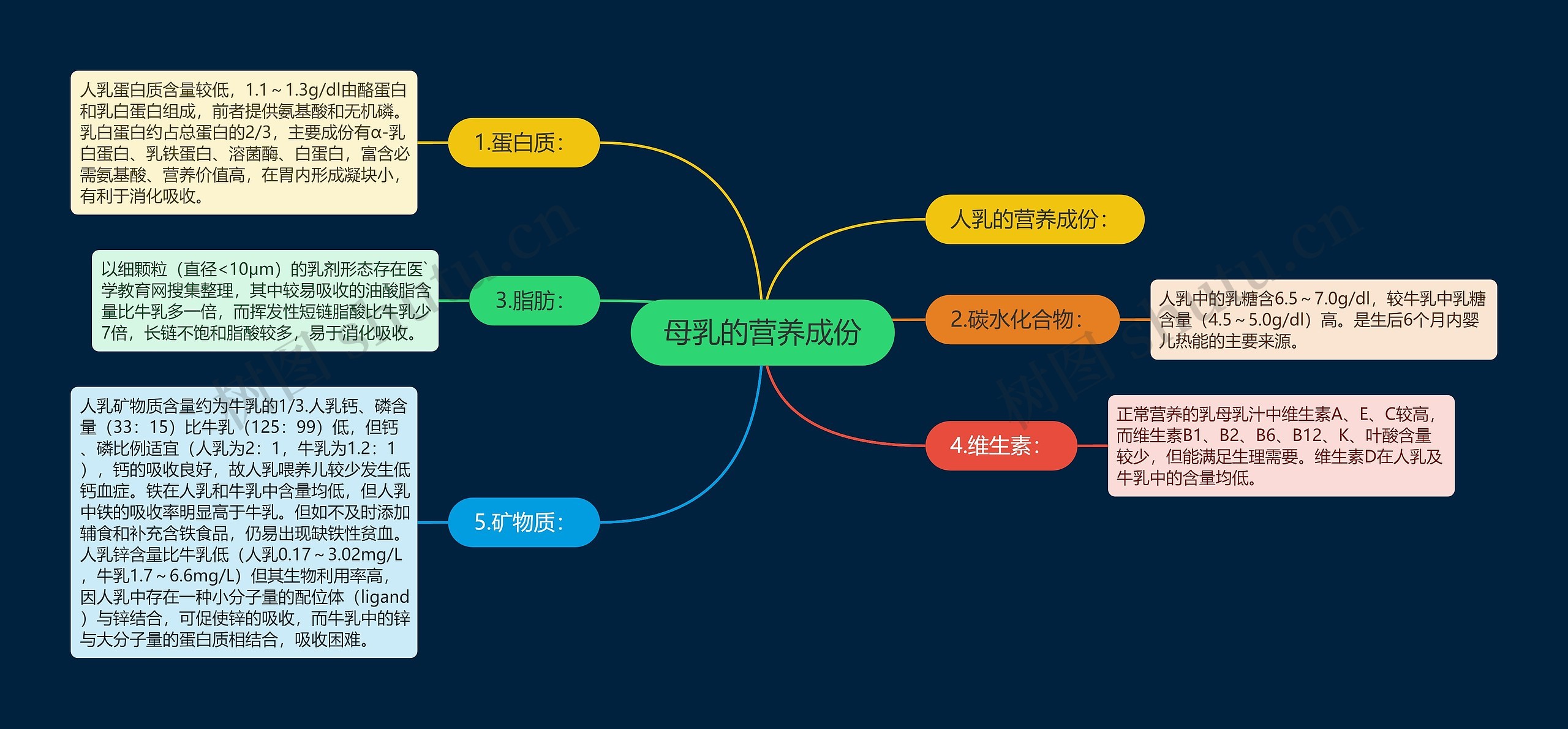 母乳的营养成份思维导图