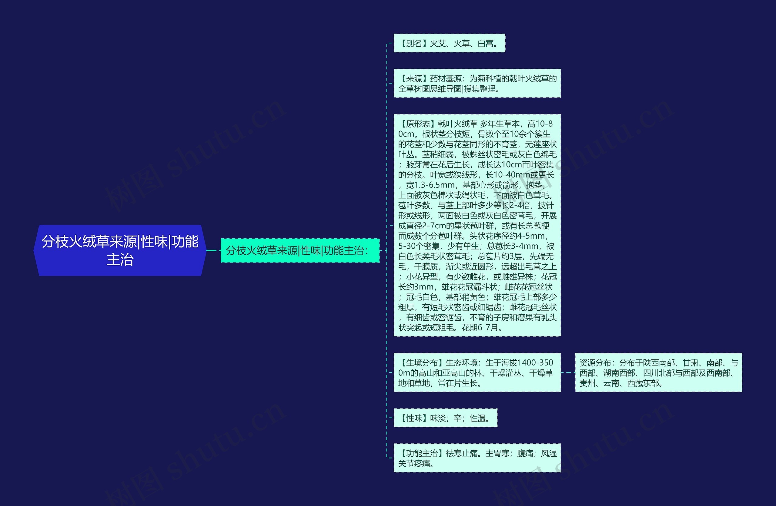 分枝火绒草来源|性味|功能主治