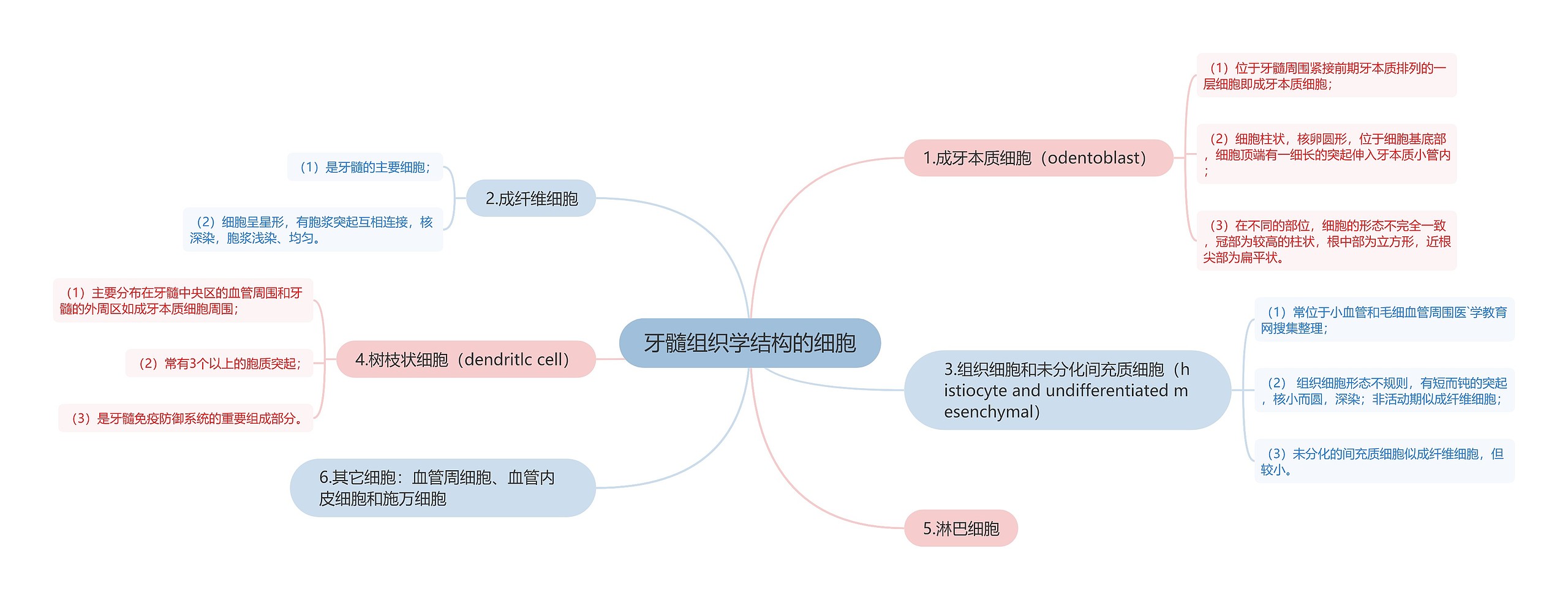 牙髓组织学结构的细胞 牙髓组织学结构的细胞