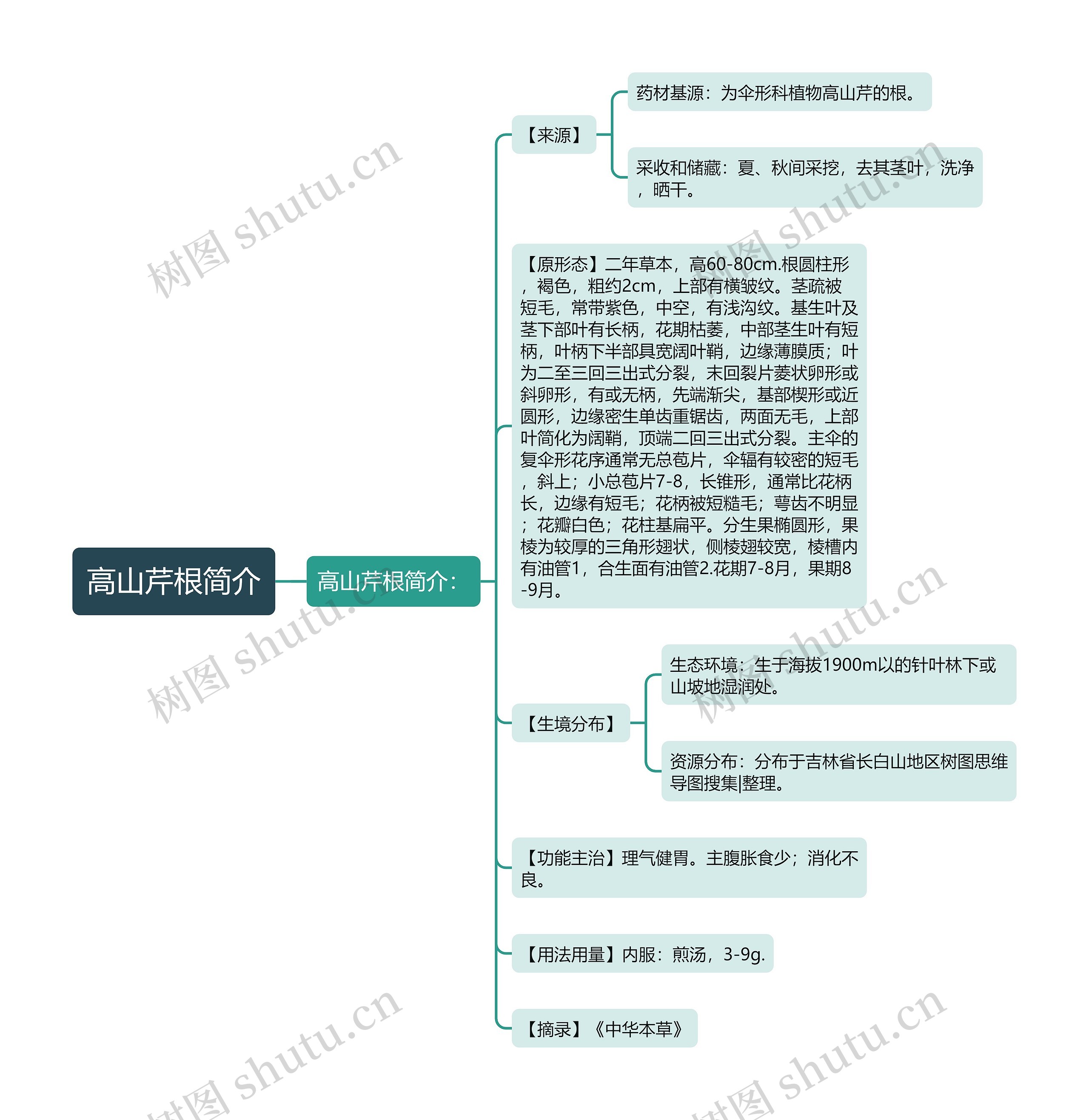 高山芹根简介思维导图