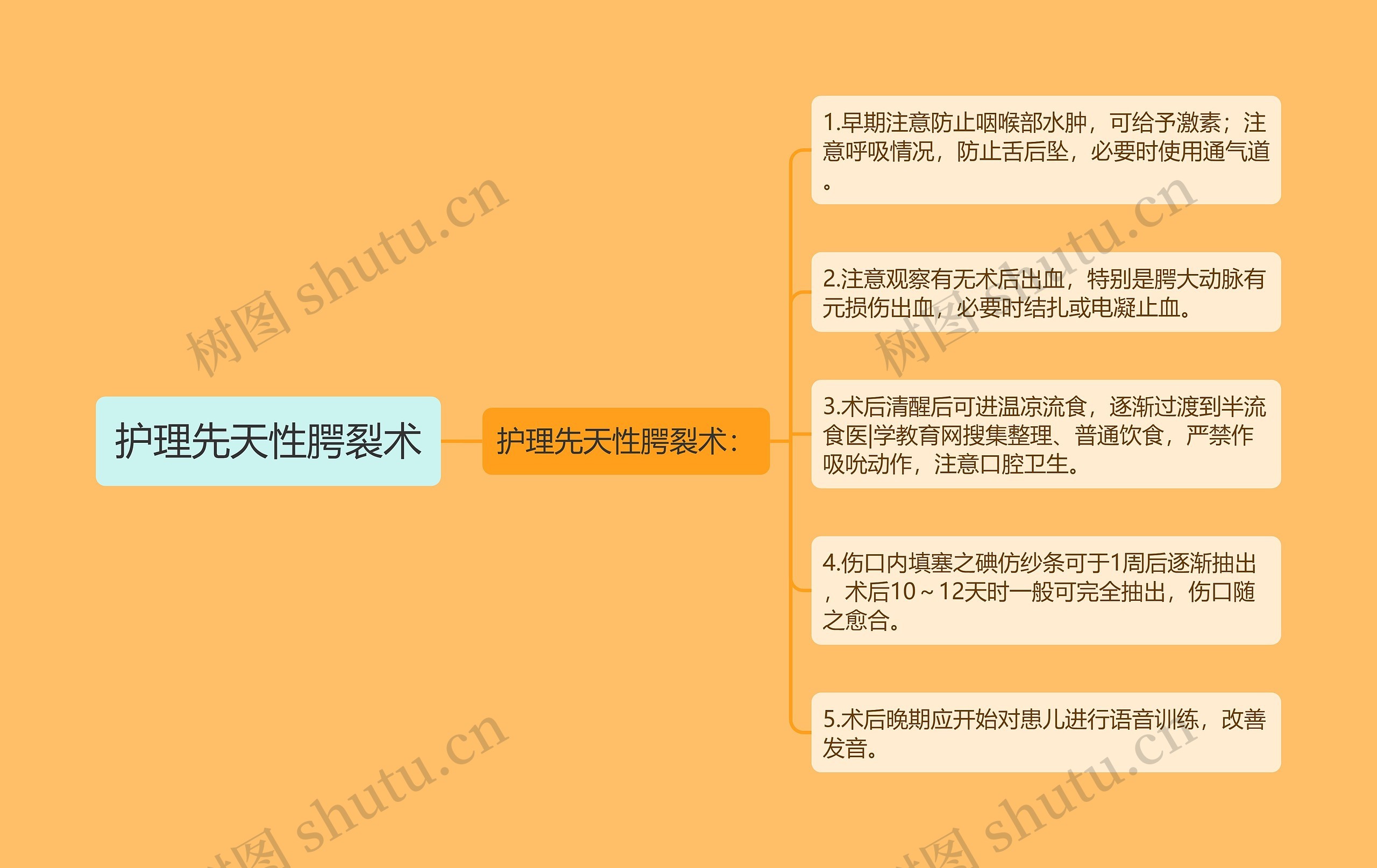 护理先天性腭裂术