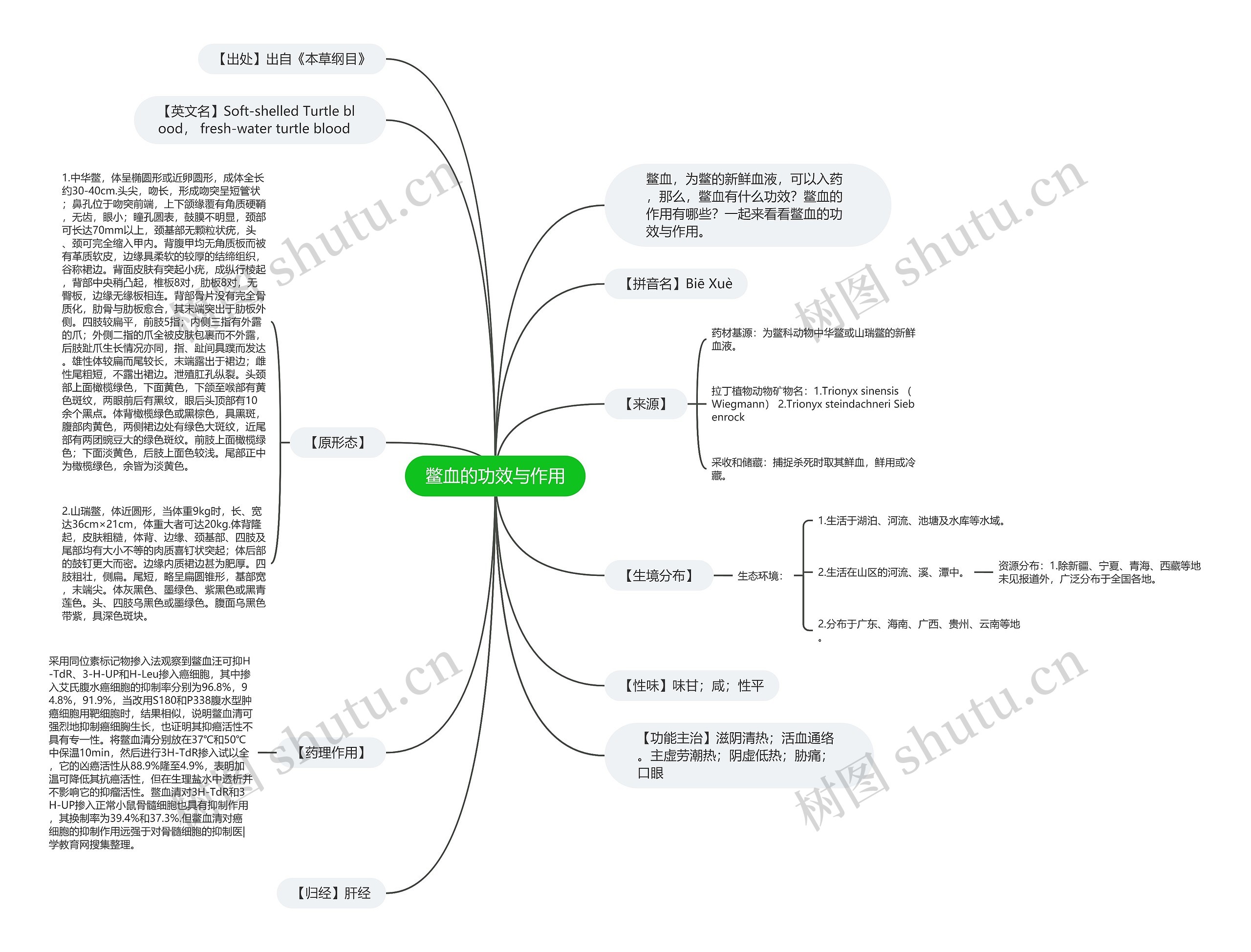 鳖血的功效与作用思维导图