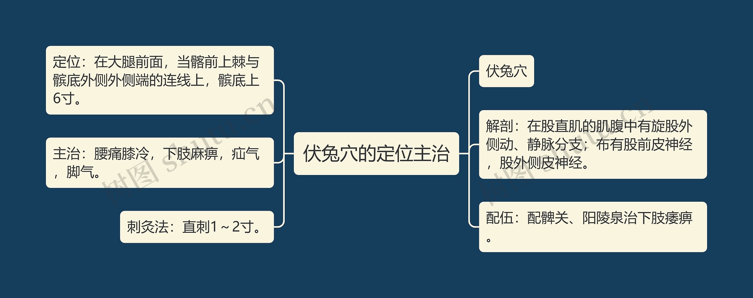伏兔穴的定位主治 伏兔穴的定位主治