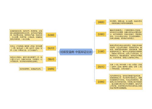 妊娠受温病-中医辩证论治