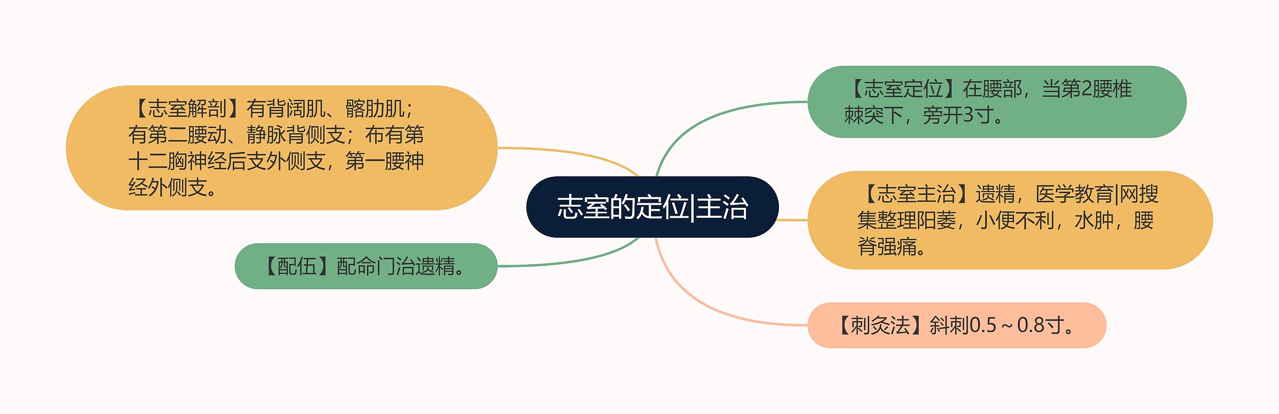 志室的定位|主治思维导图