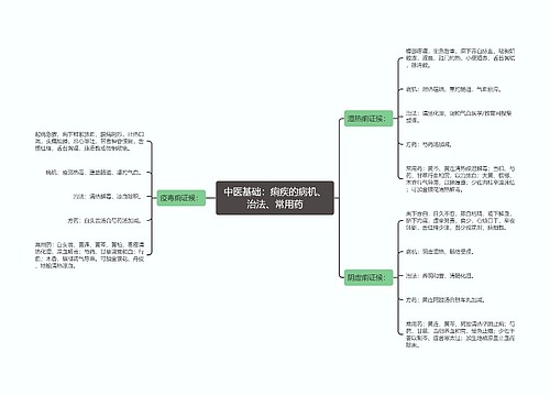 中医基础：痢疾的病机、治法、常用药