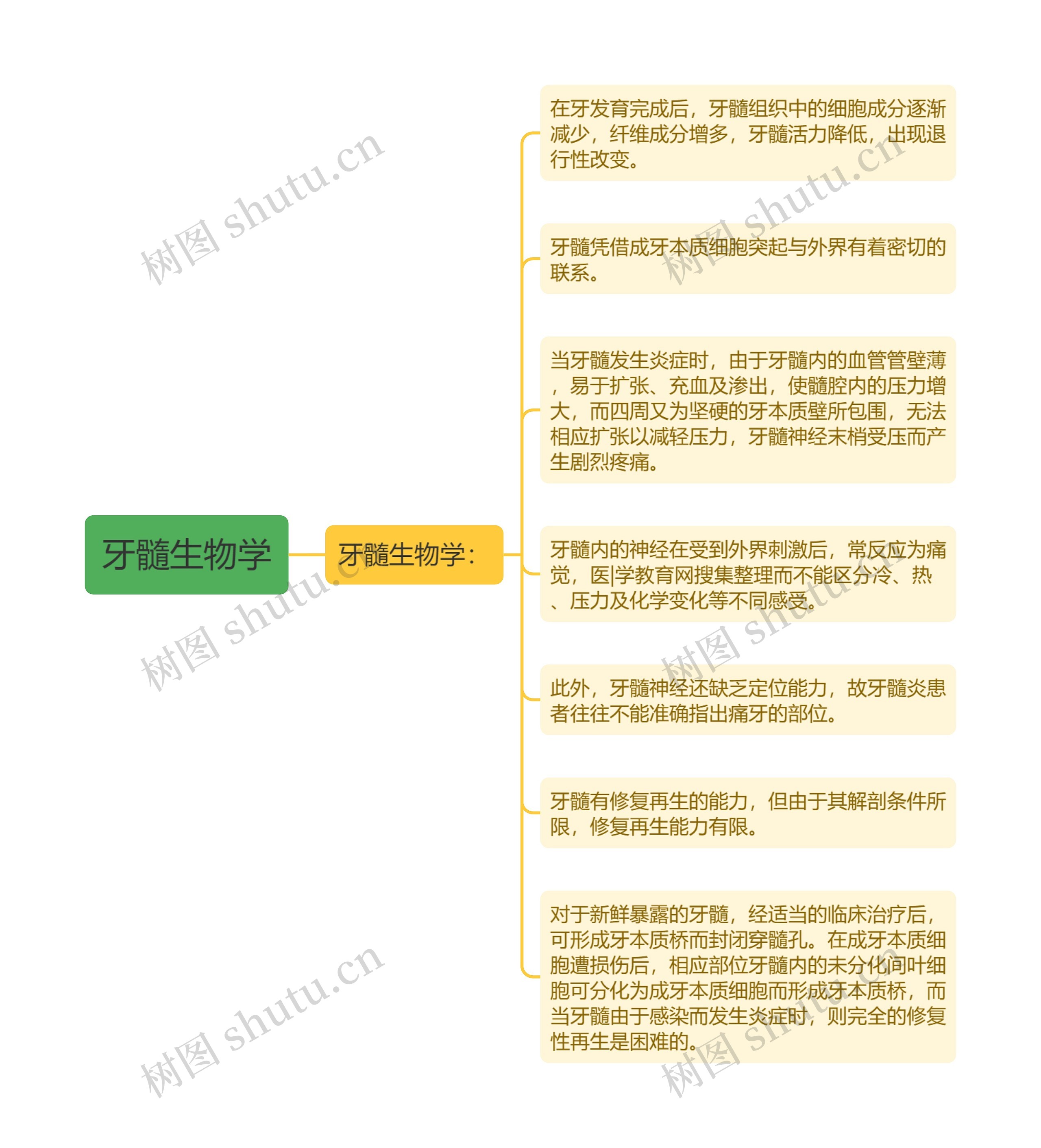 牙髓生物学思维导图