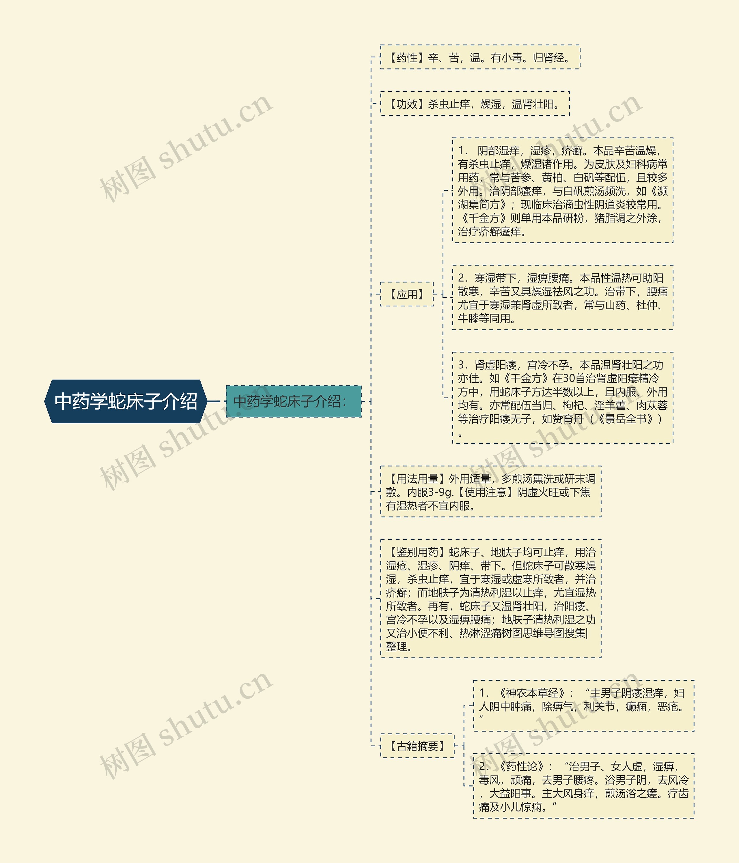 中药学蛇床子介绍思维导图